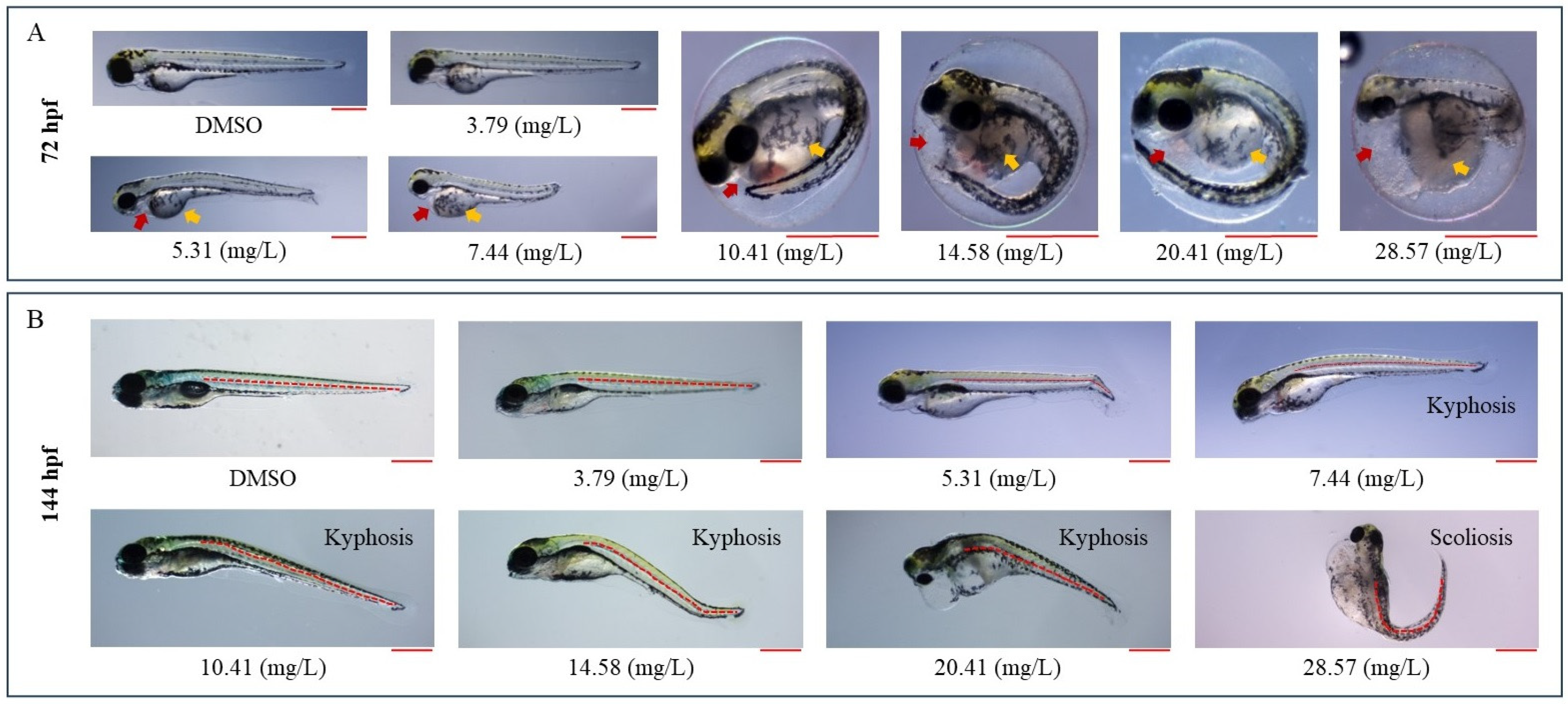Fishes 09 00425 g002
