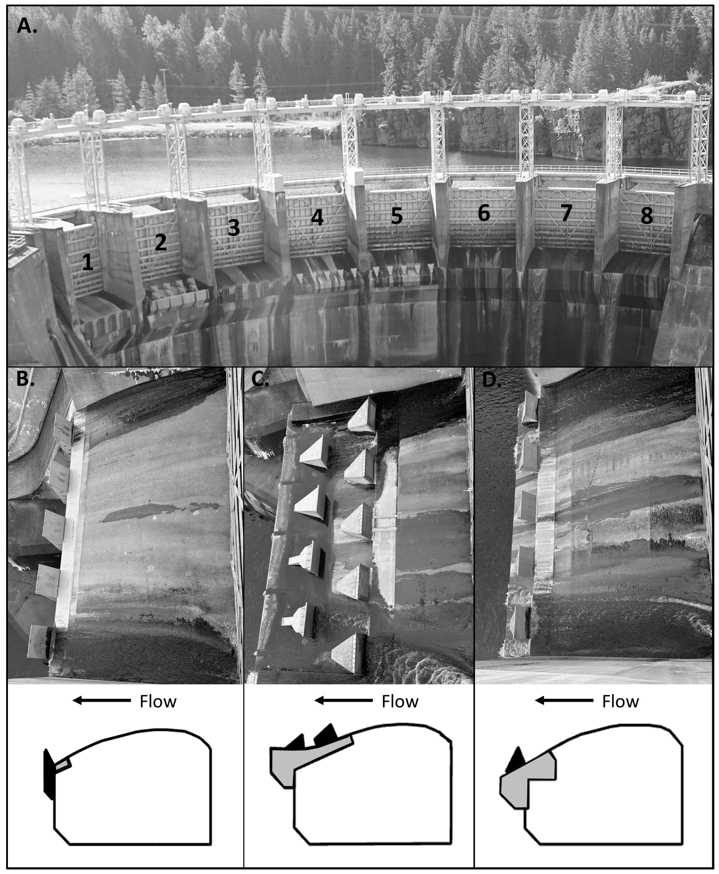 Fishes 09 00427 g002