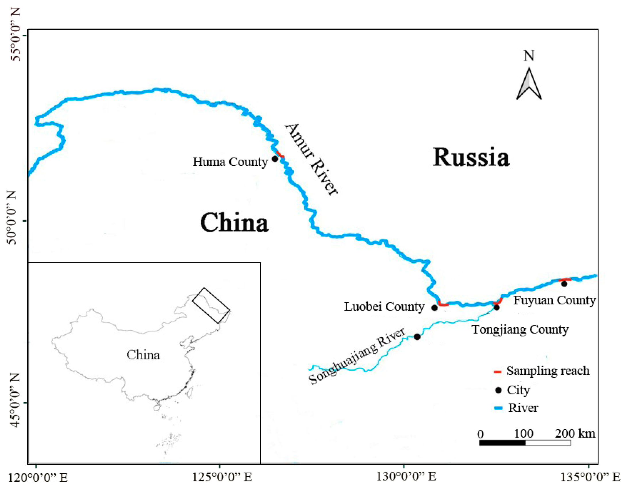 Fishes 09 00428 g001