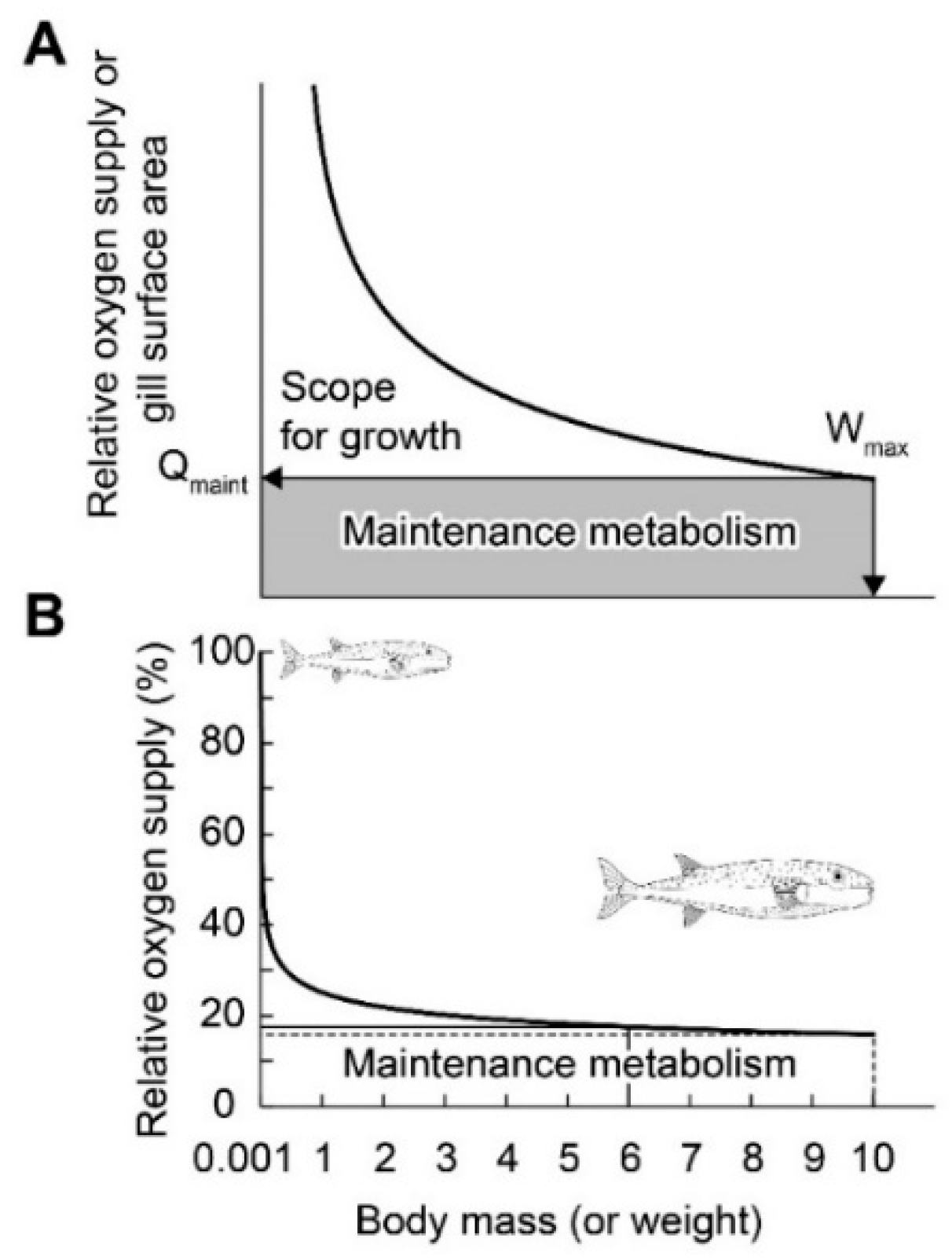 Fishes 09 00430 g001