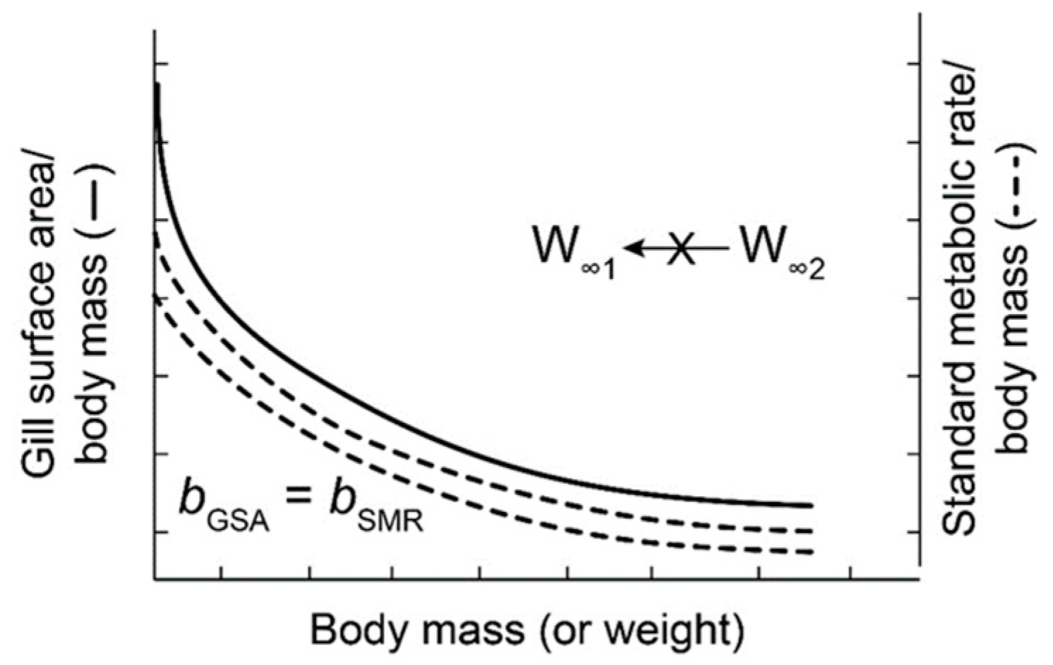 Fishes 09 00430 g003