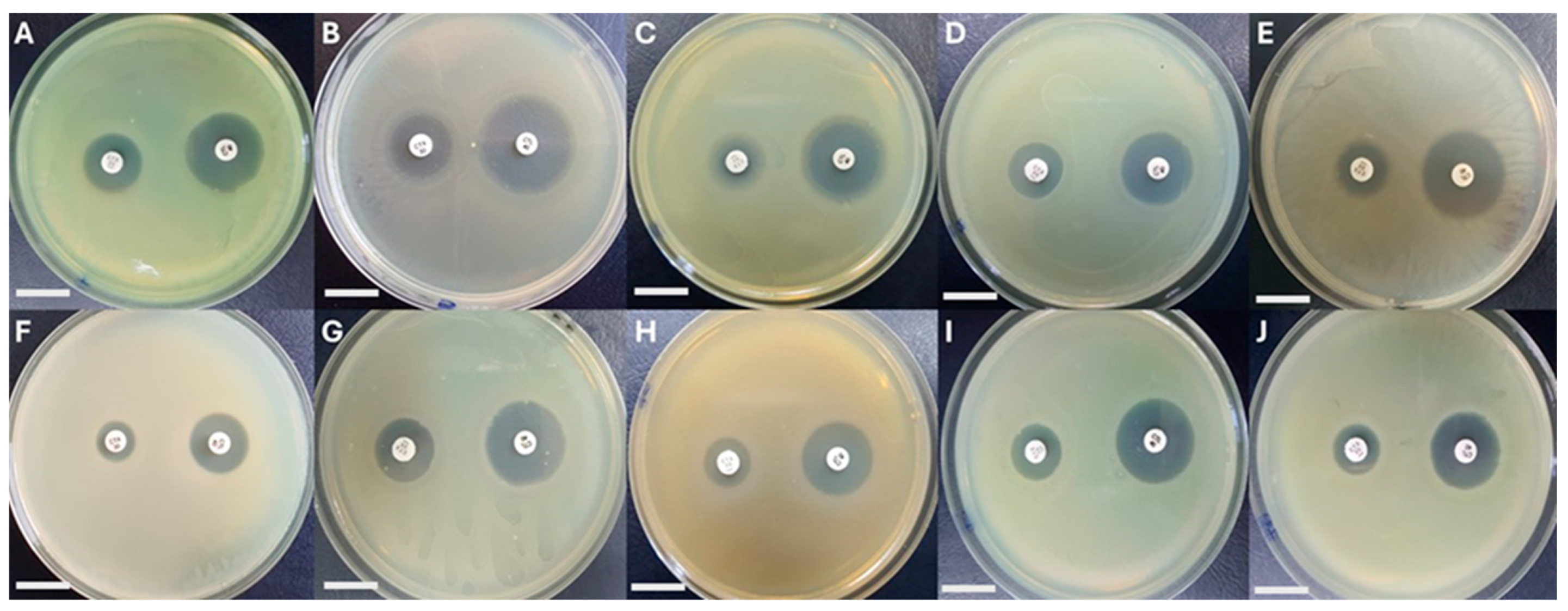 Fishes 09 00432 g003 Fishes 09 00432 g003