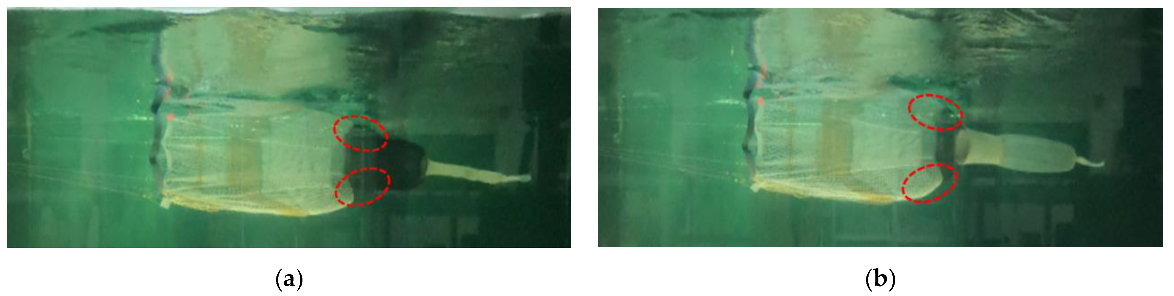 Fishes 09 00434 g009