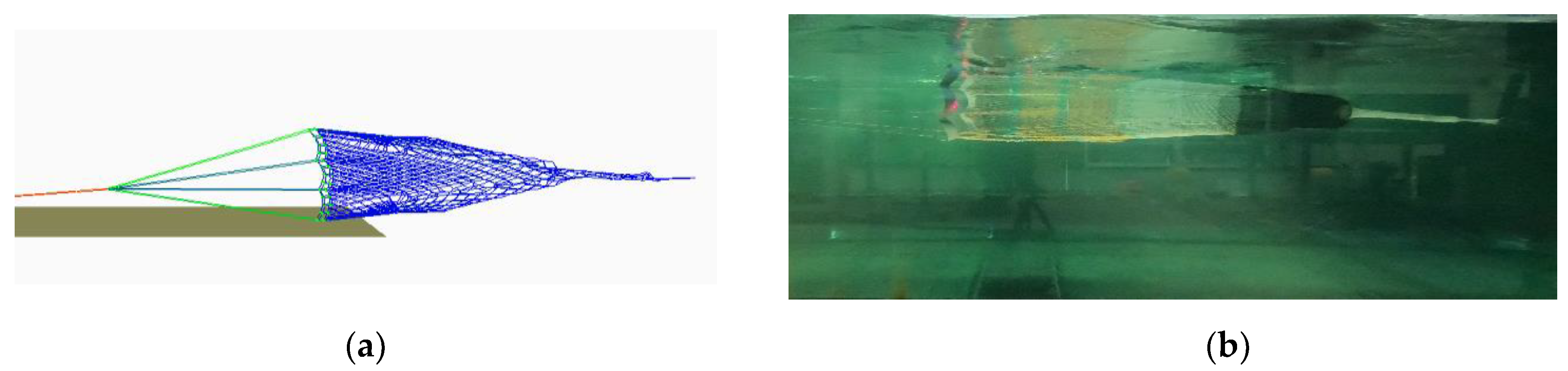 Fishes 09 00434 g015