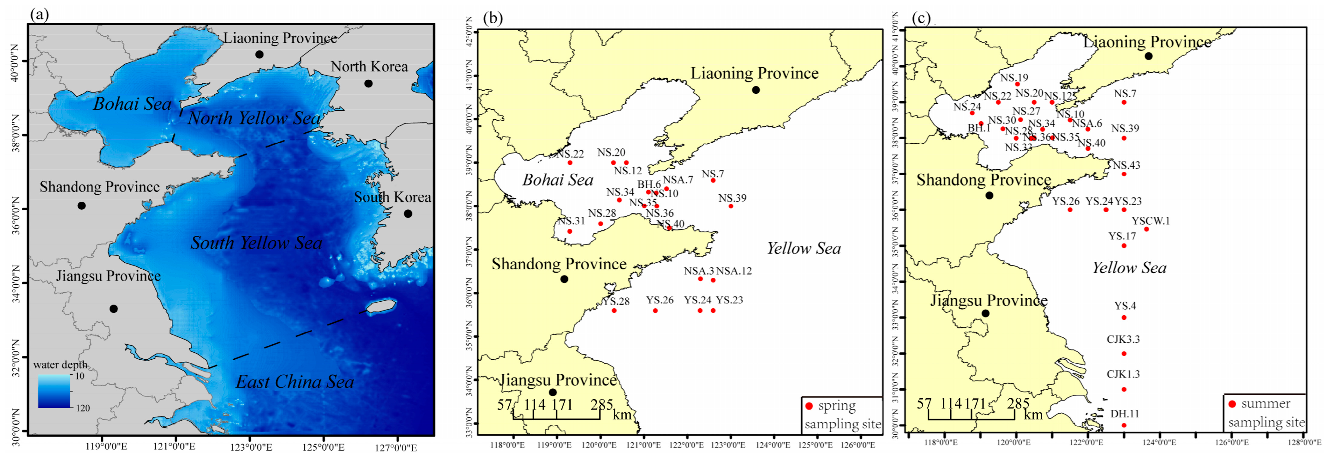 Fishes 09 00435 g001