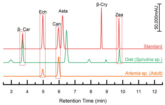 Effects of Temperature and Salinity on the Growth