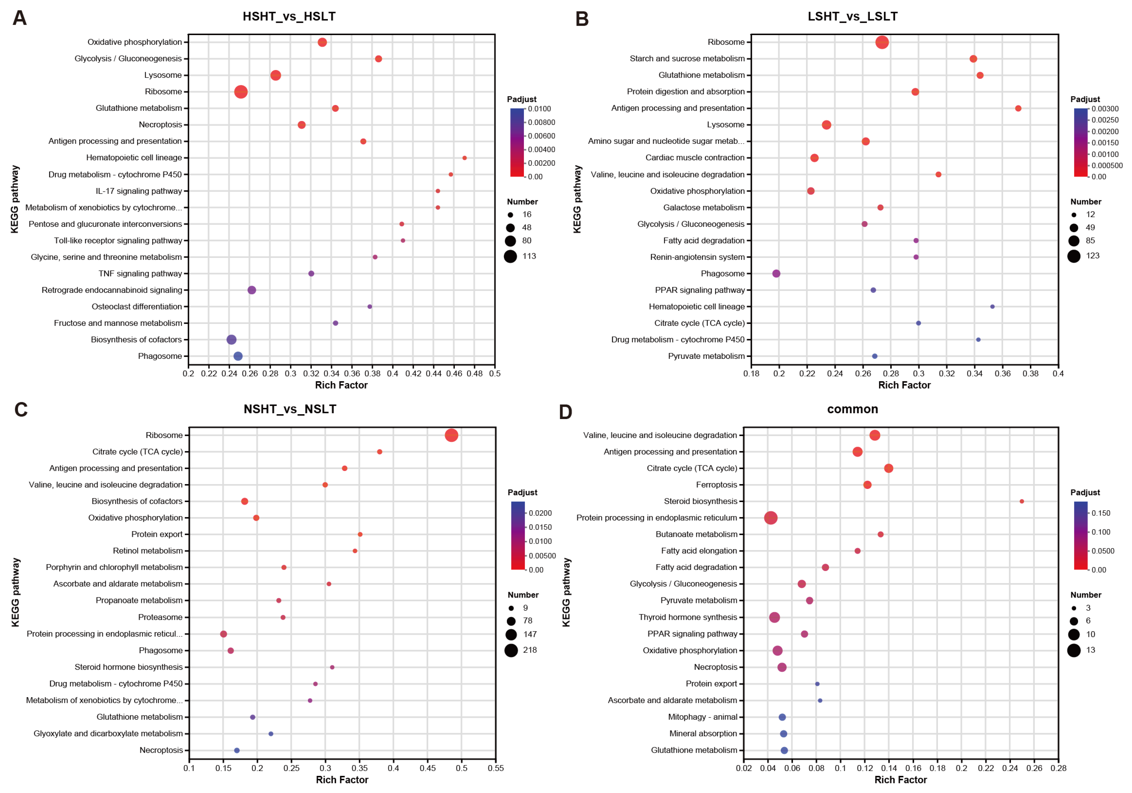 Fishes 09 00437 g011