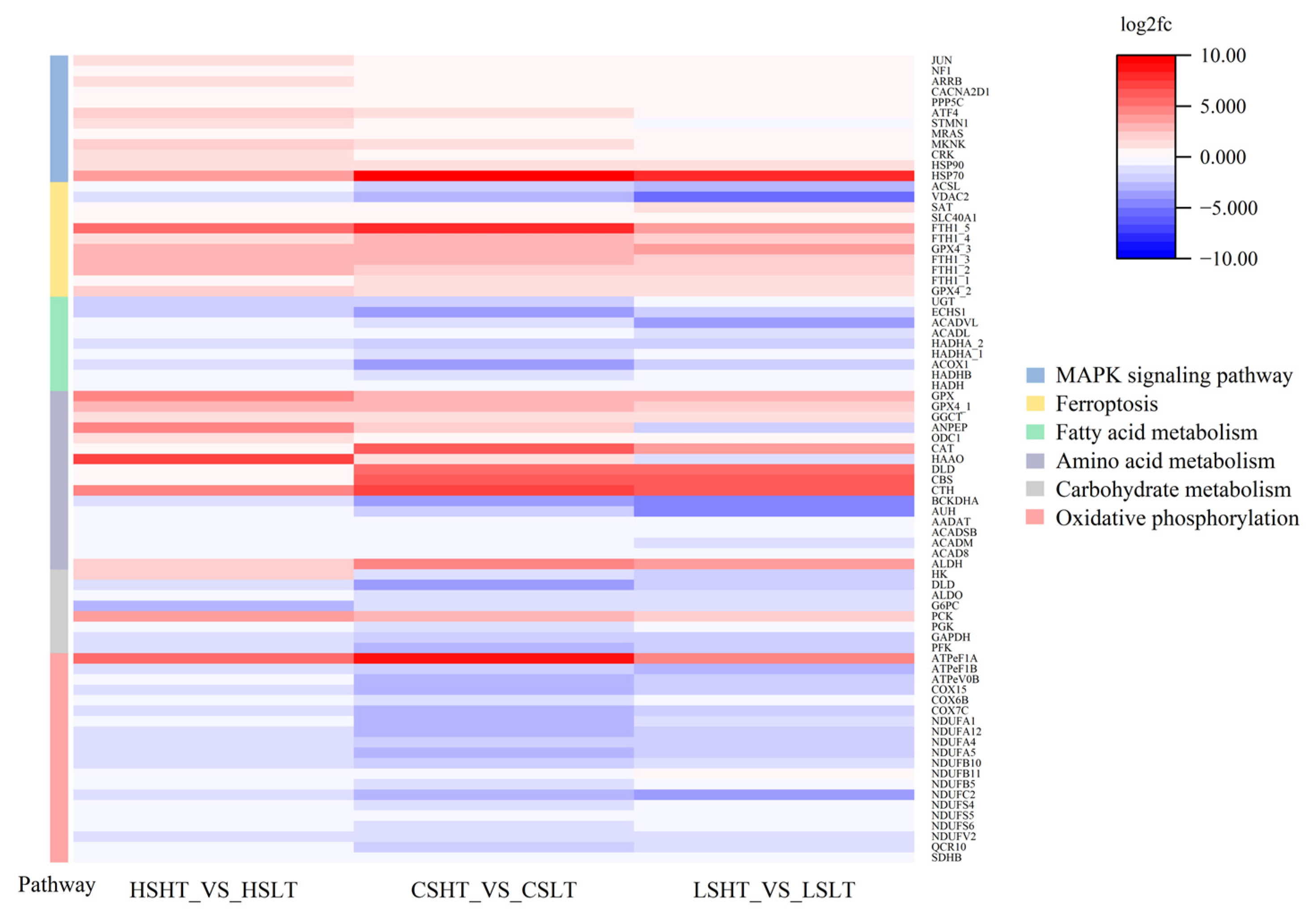 Fishes 09 00437 g012