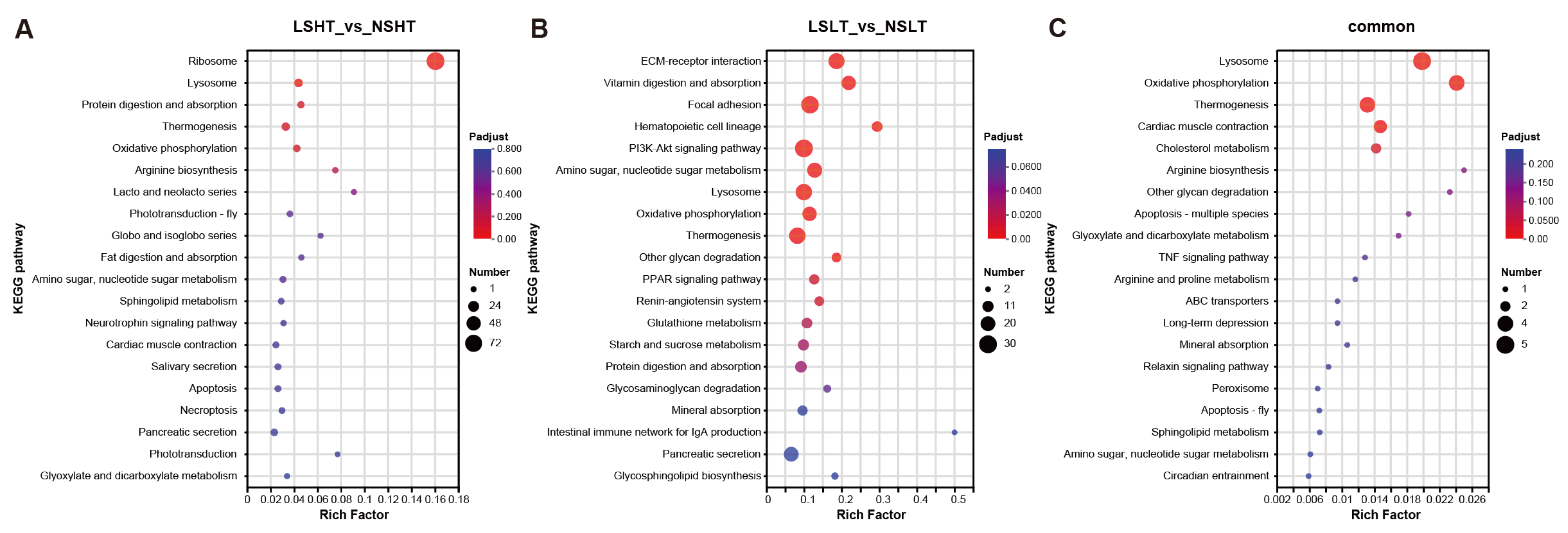 Fishes 09 00437 g014