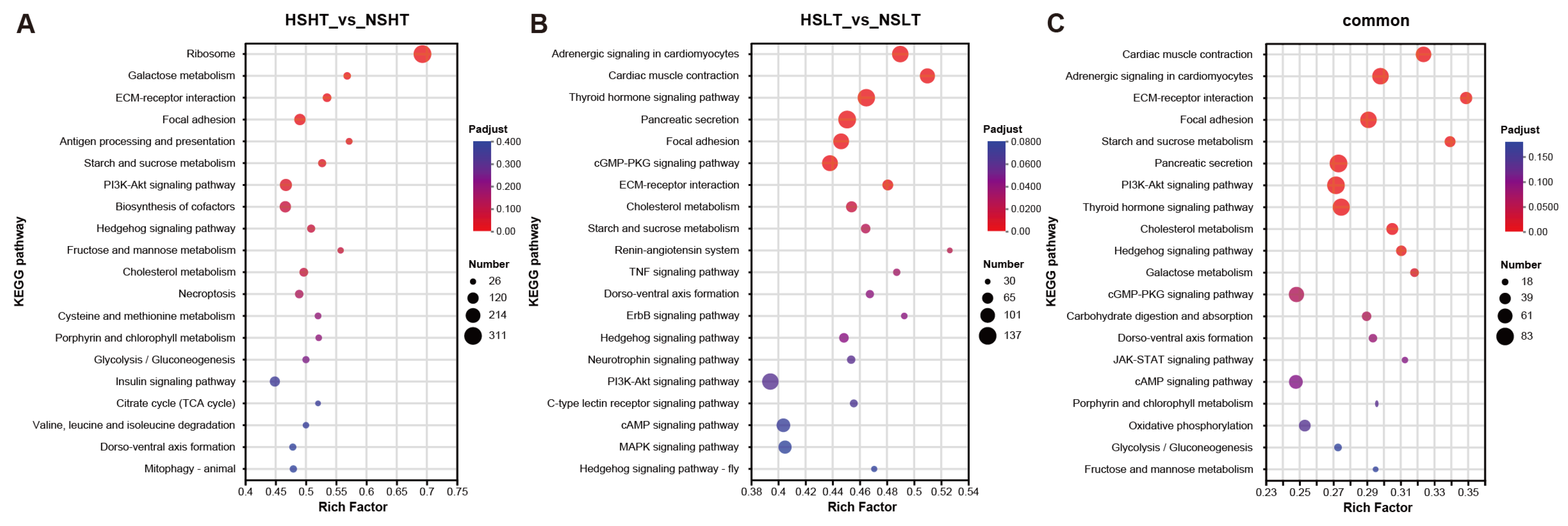 Fishes 09 00437 g017