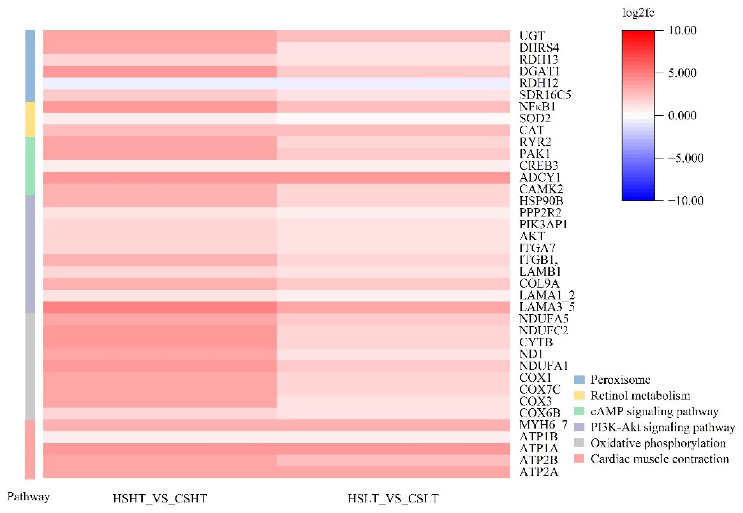 Fishes 09 00437 g018
