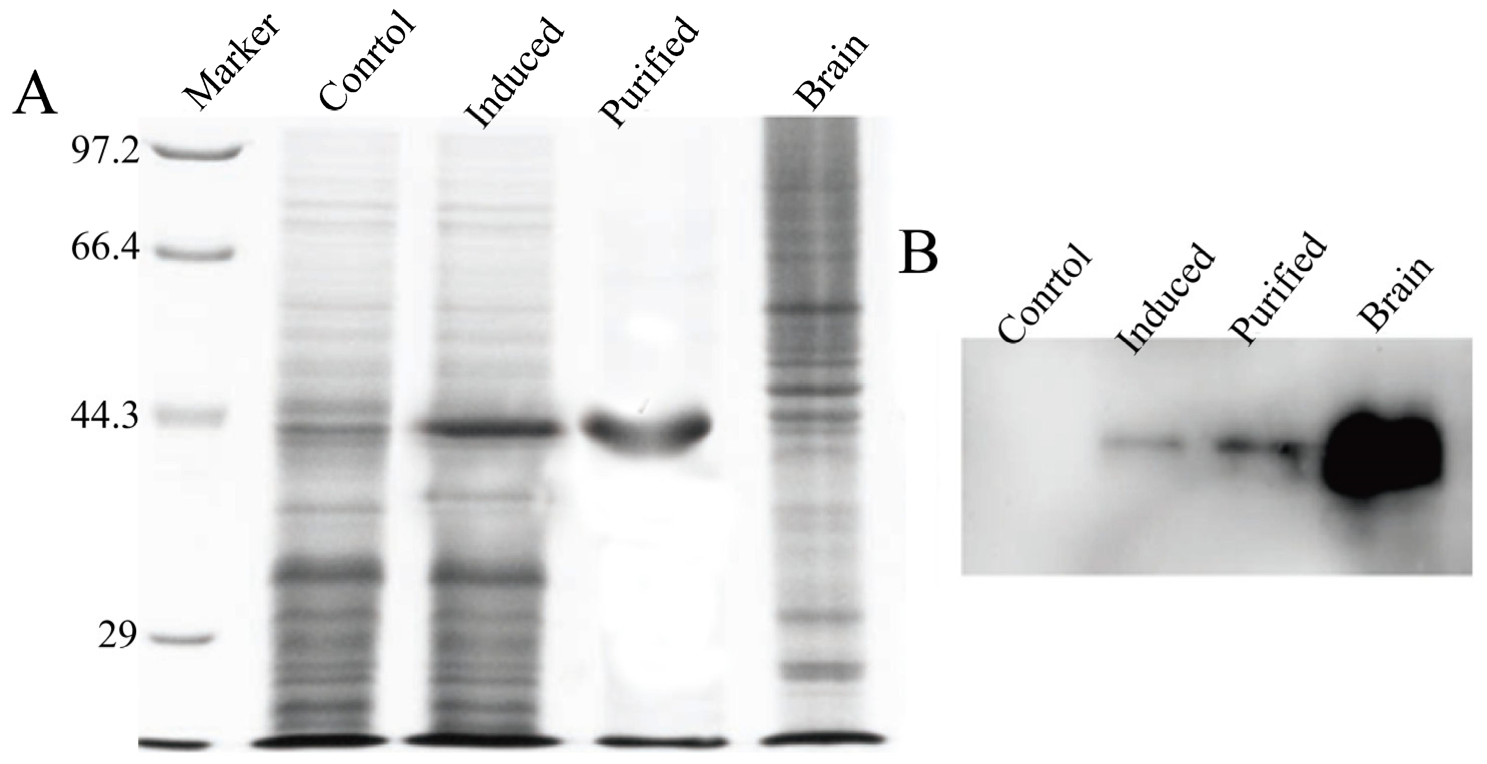 Fishes 09 00442 g001