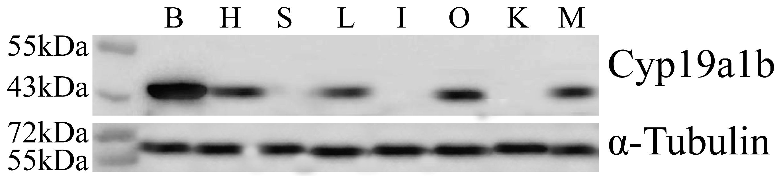 Fishes 09 00442 g002