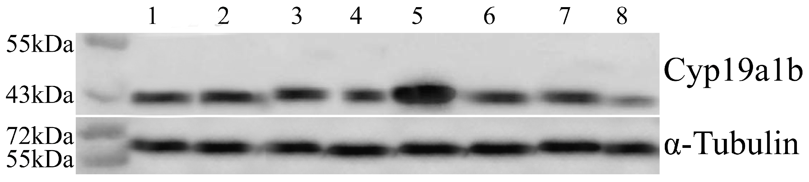 Fishes 09 00442 g003