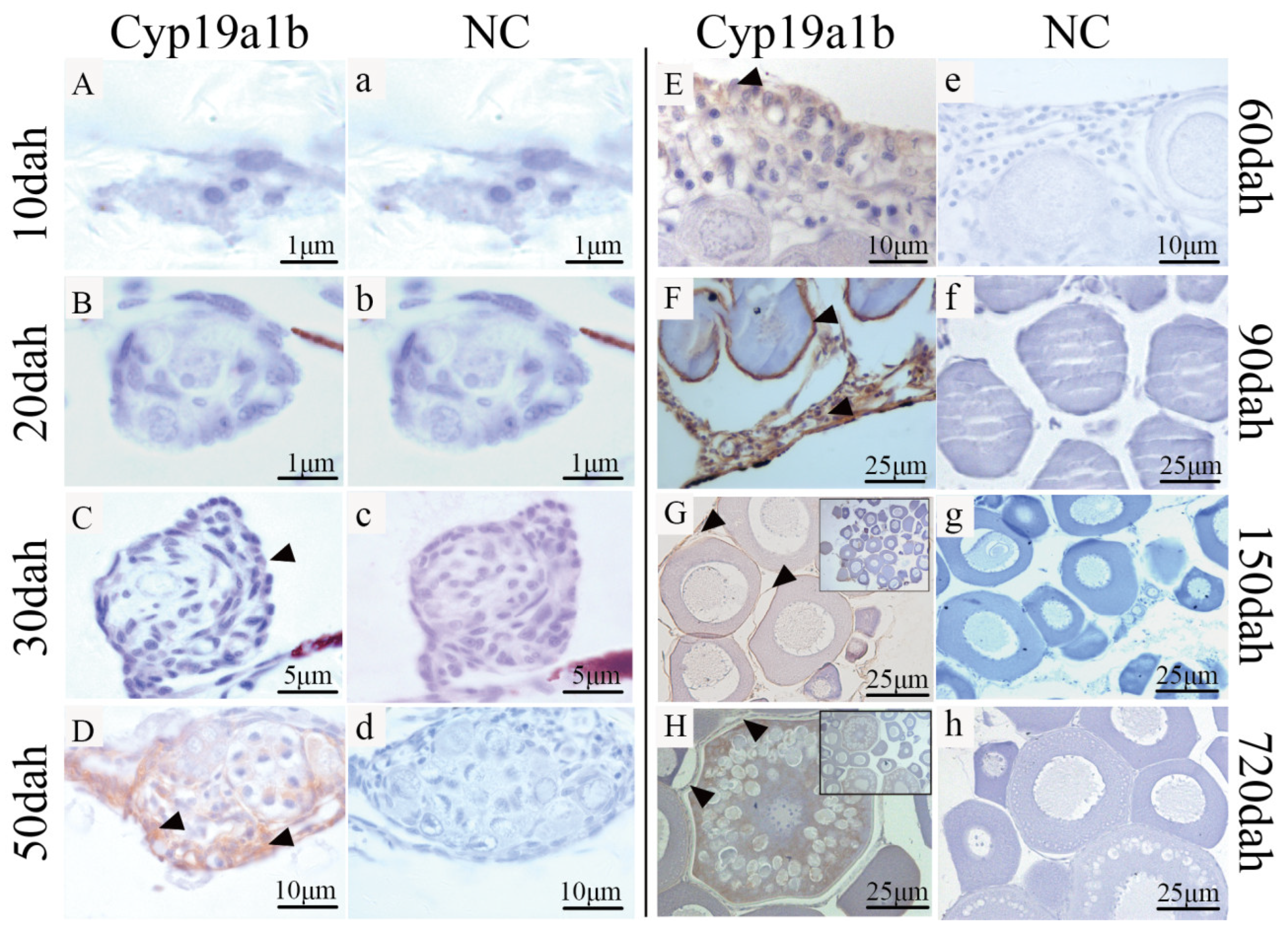 Fishes 09 00442 g005