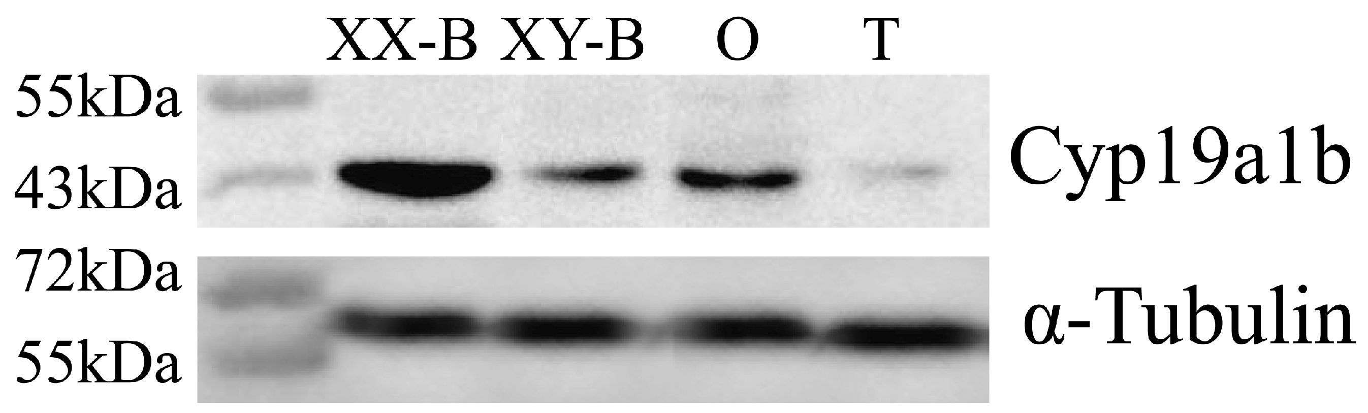 Fishes 09 00442 g007