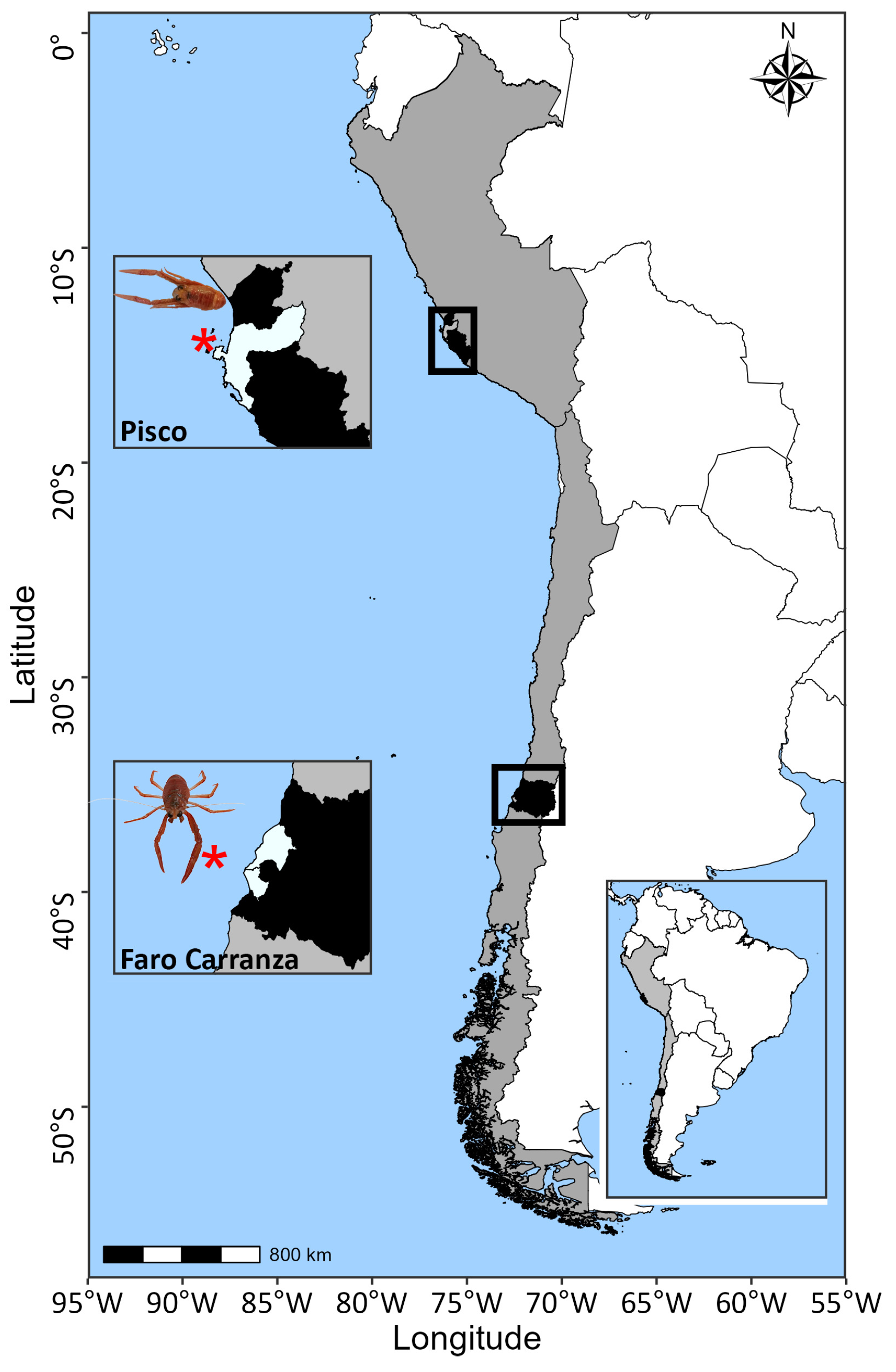 Fishes 09 00445 g001