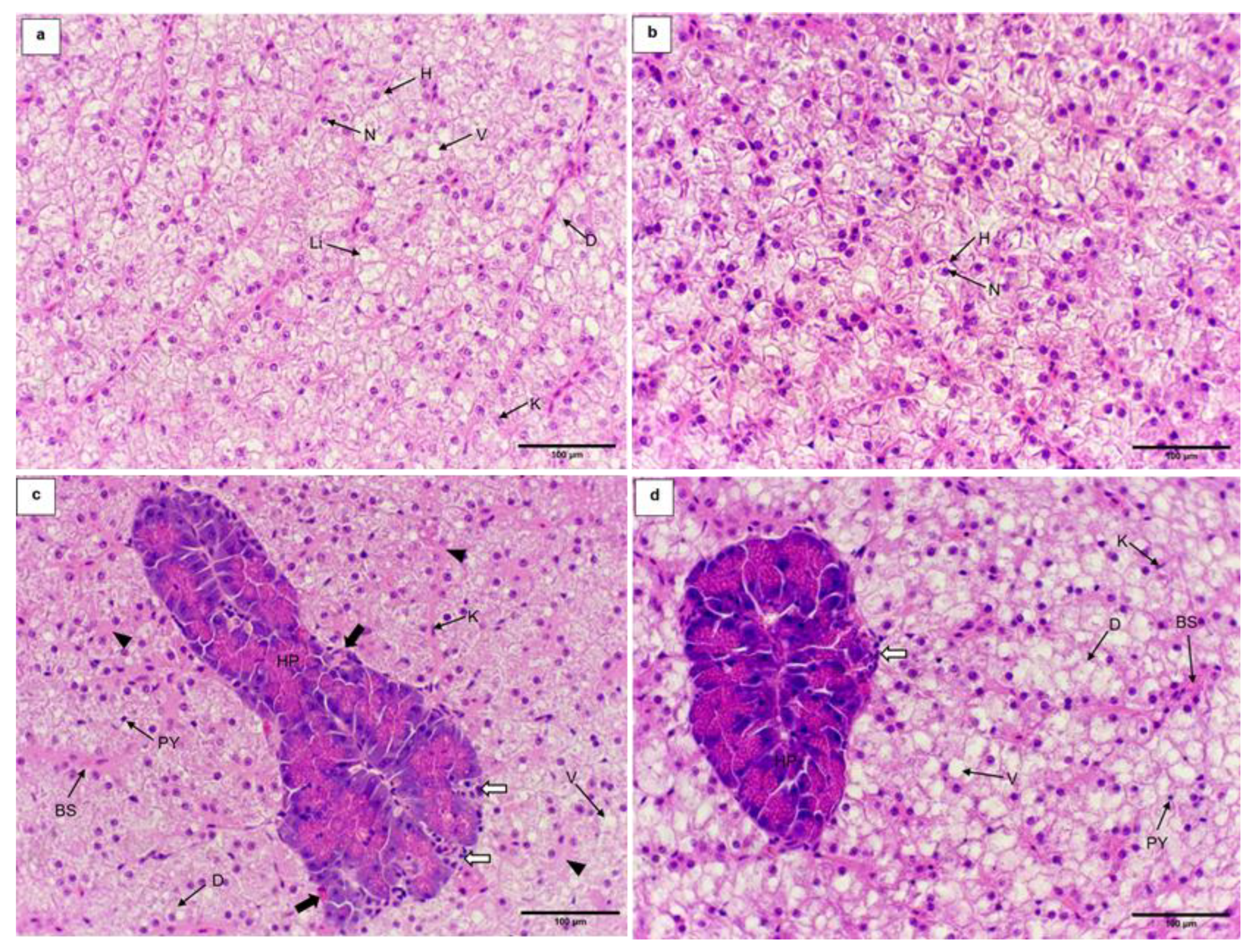 Fishes 09 00449 g003