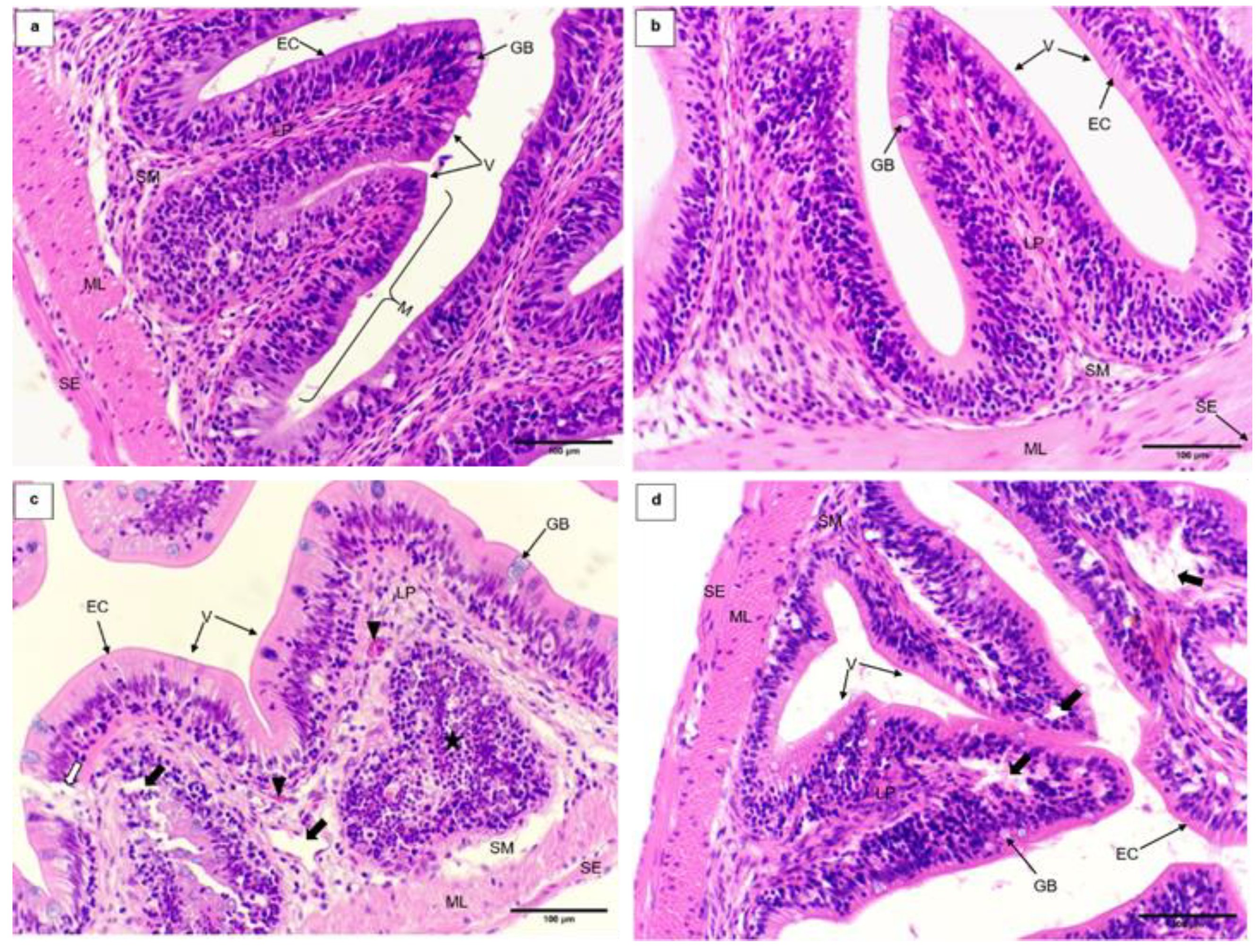 Fishes 09 00449 g004