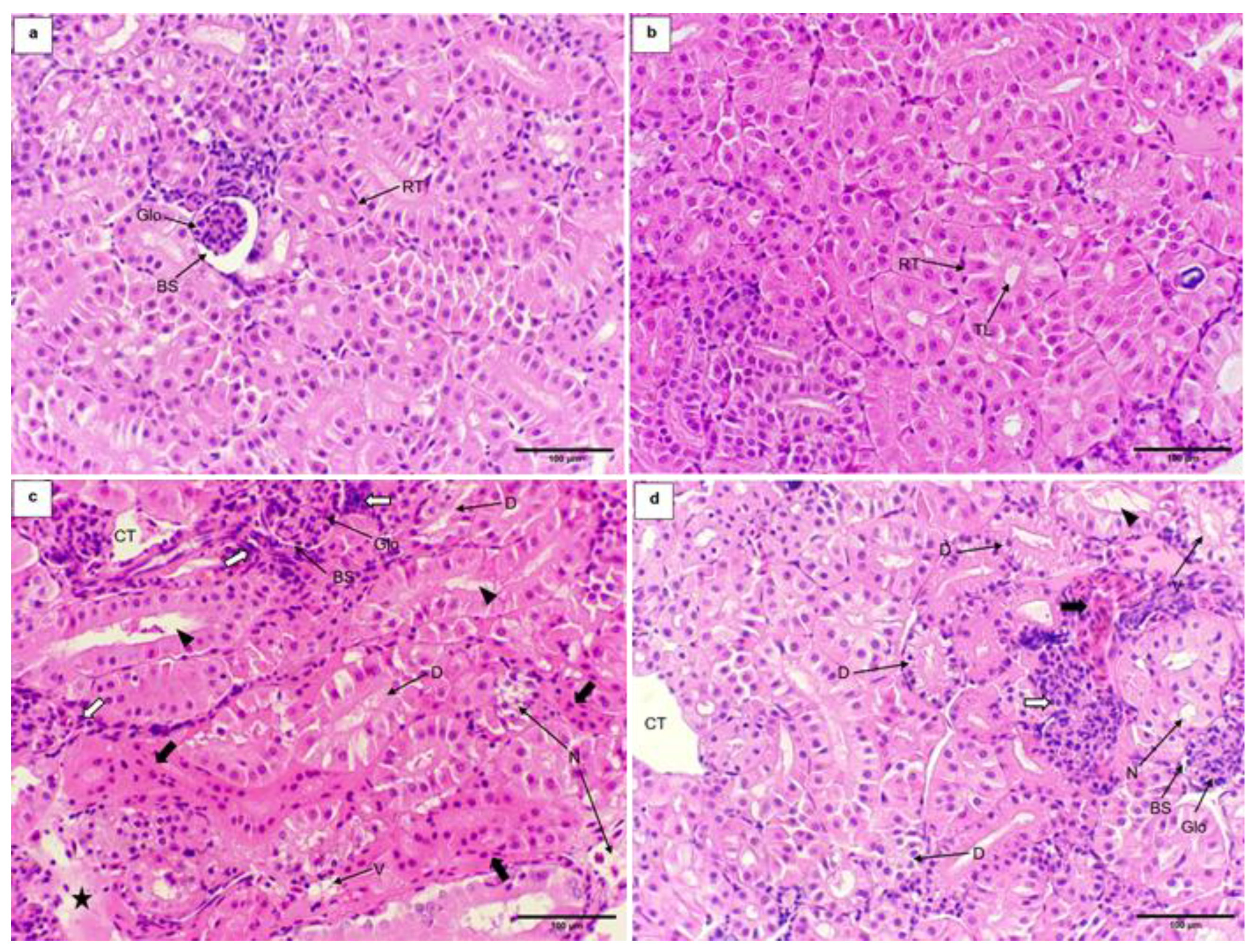 Fishes 09 00449 g005