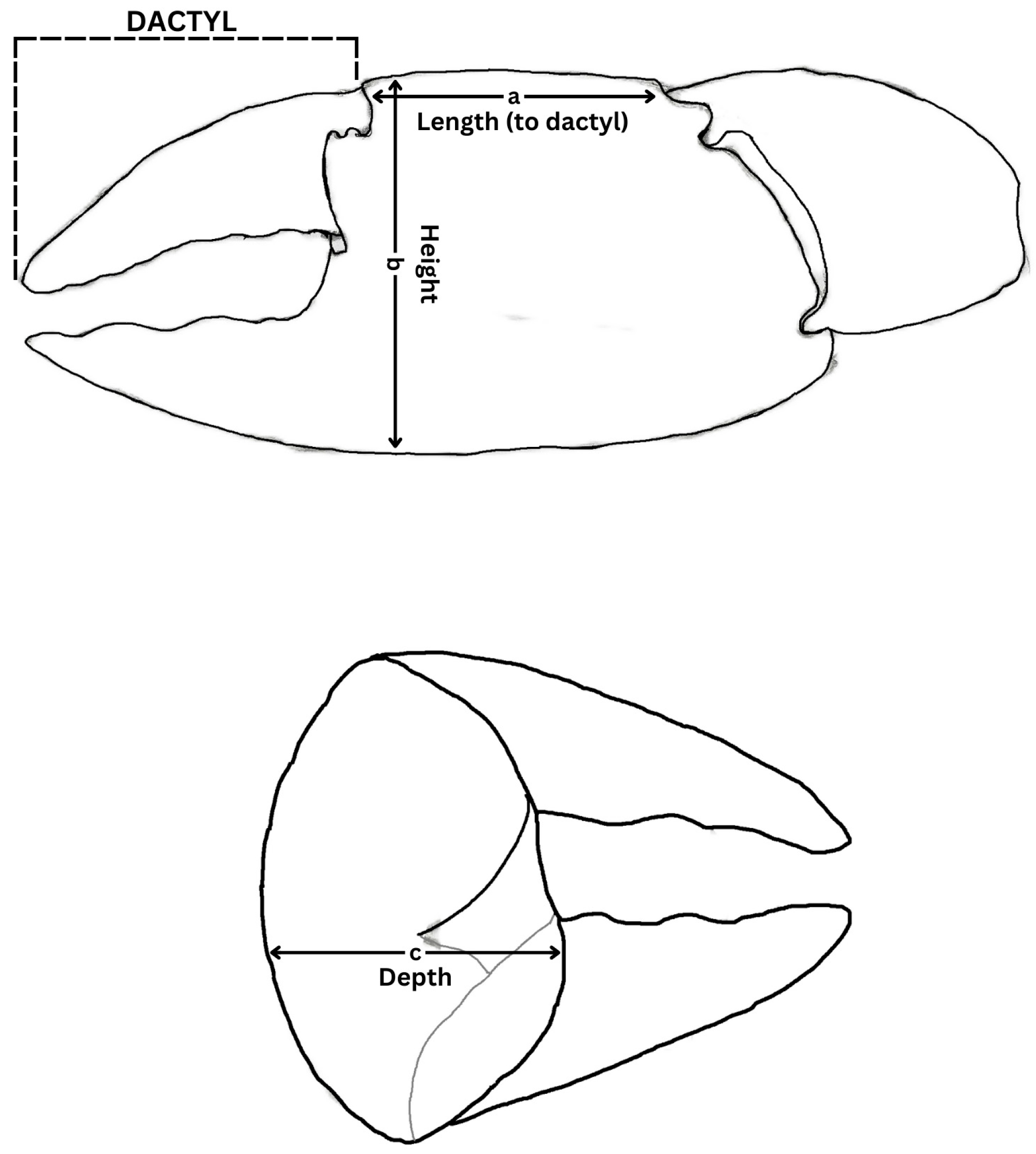 Fishes 09 00455 g001 Fishes 09 00455 g001