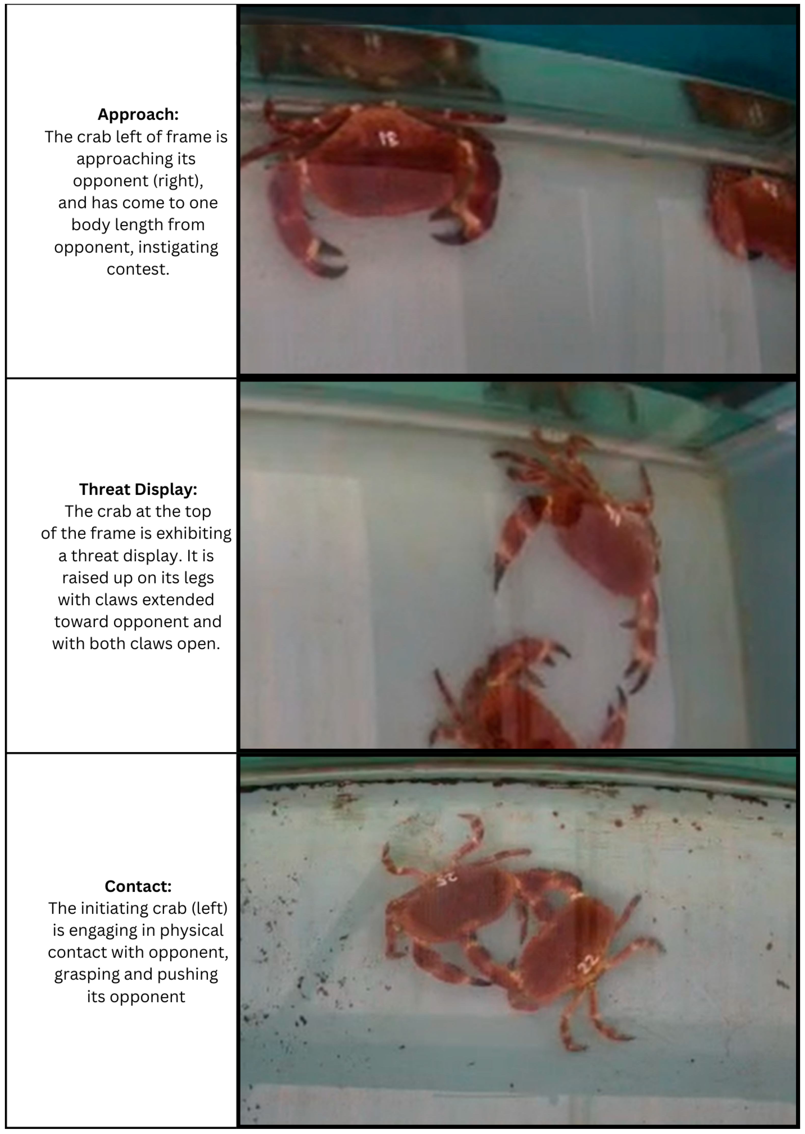 Fishes 09 00455 g0a2 Fishes 09 00455 g0a2