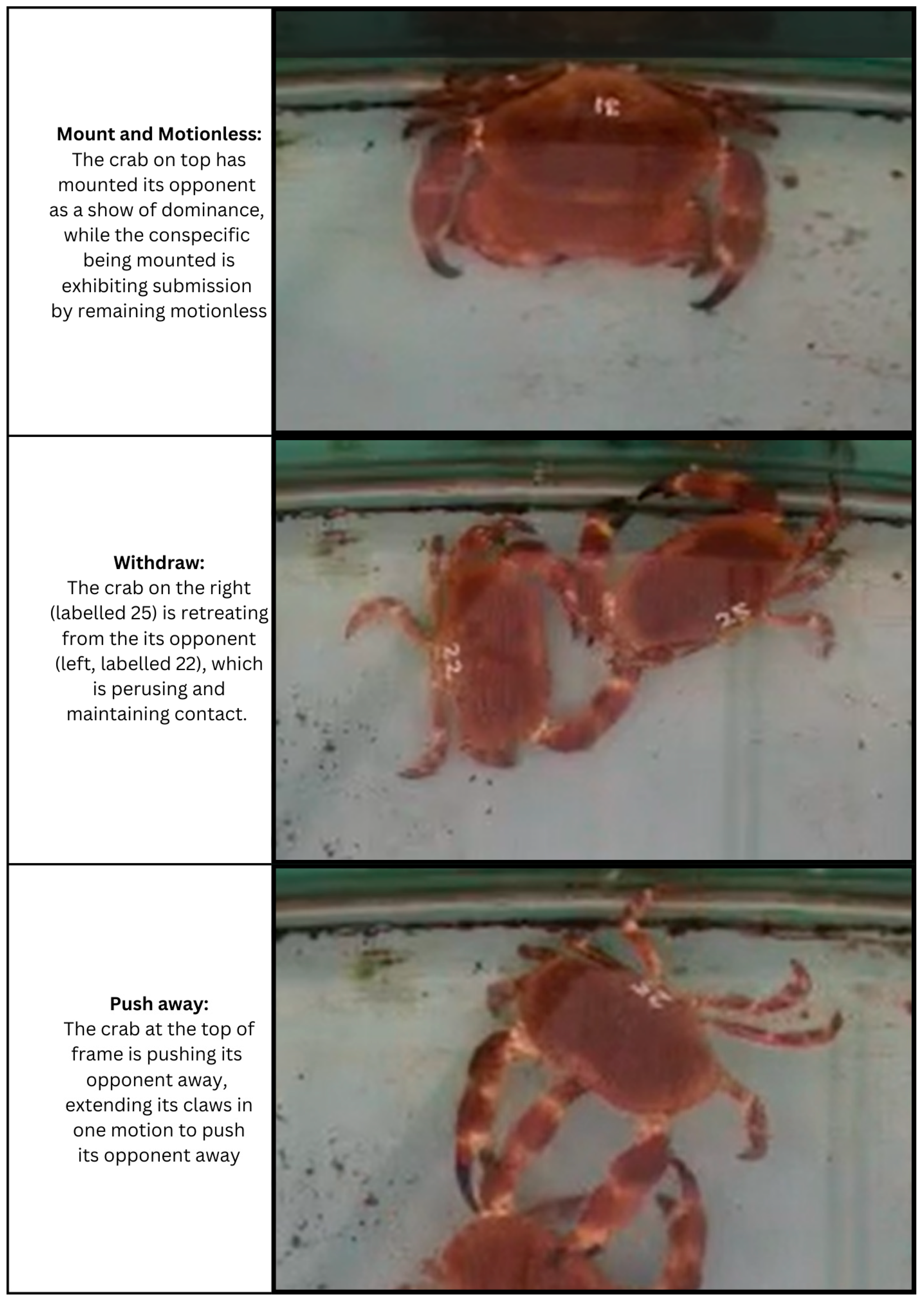 Fishes 09 00455 g0a3 Fishes 09 00455 g0a3