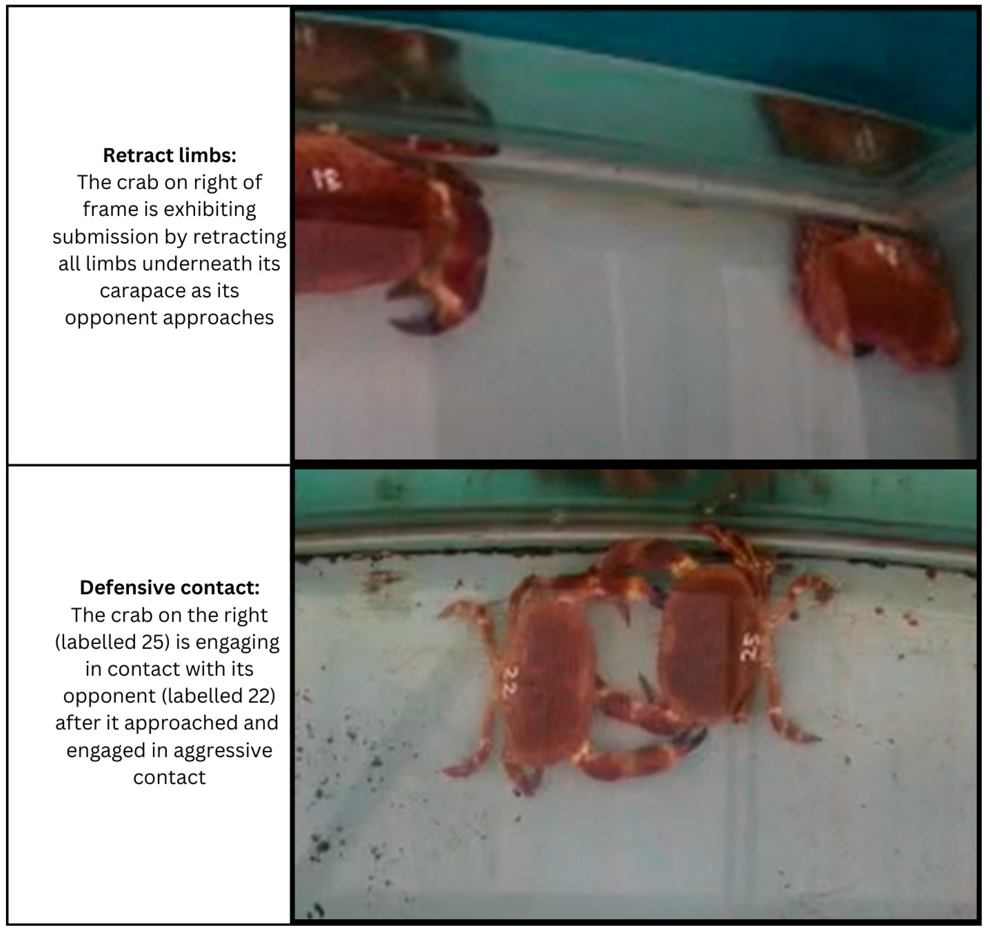 Fishes 09 00455 g0a4 Fishes 09 00455 g0a4