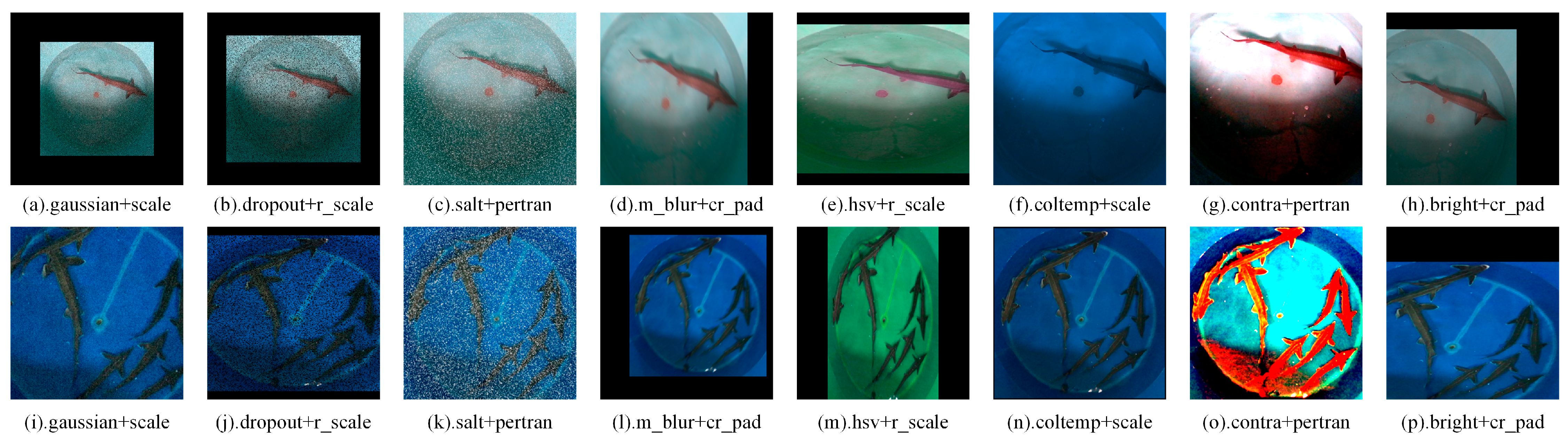 Fishes 09 00458 g003