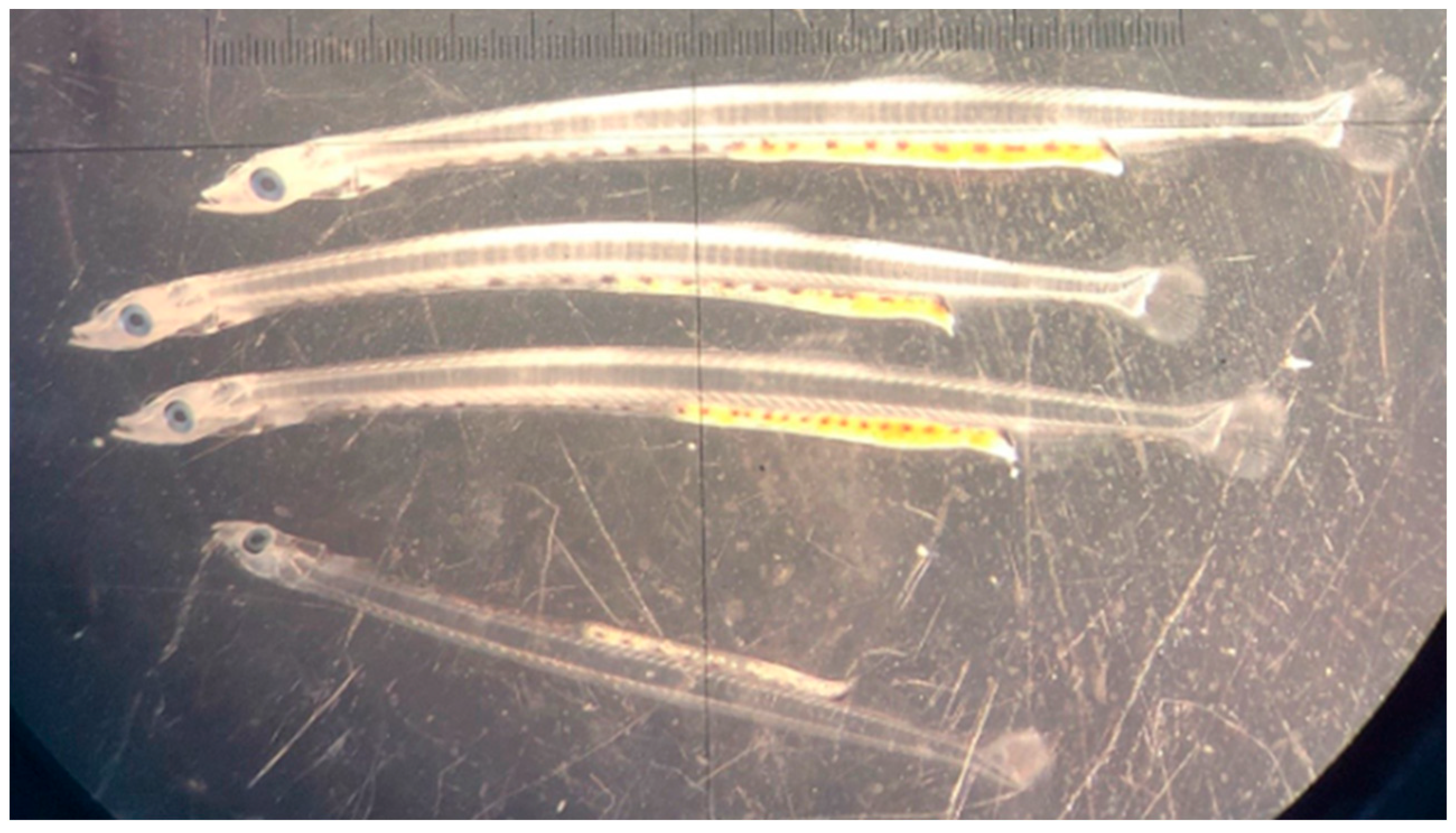 Fishes 09 00460 g002