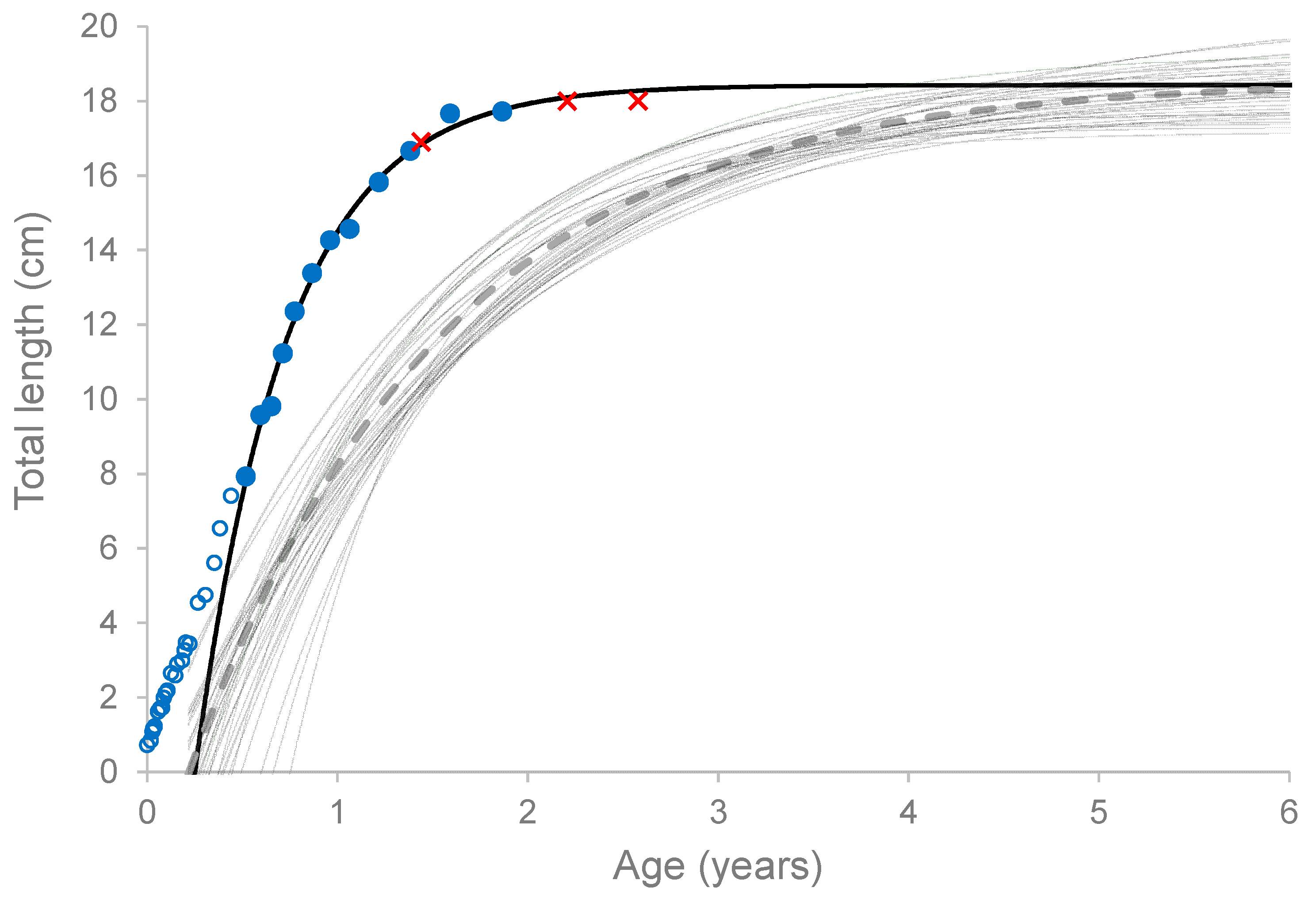 Fishes 09 00460 g006