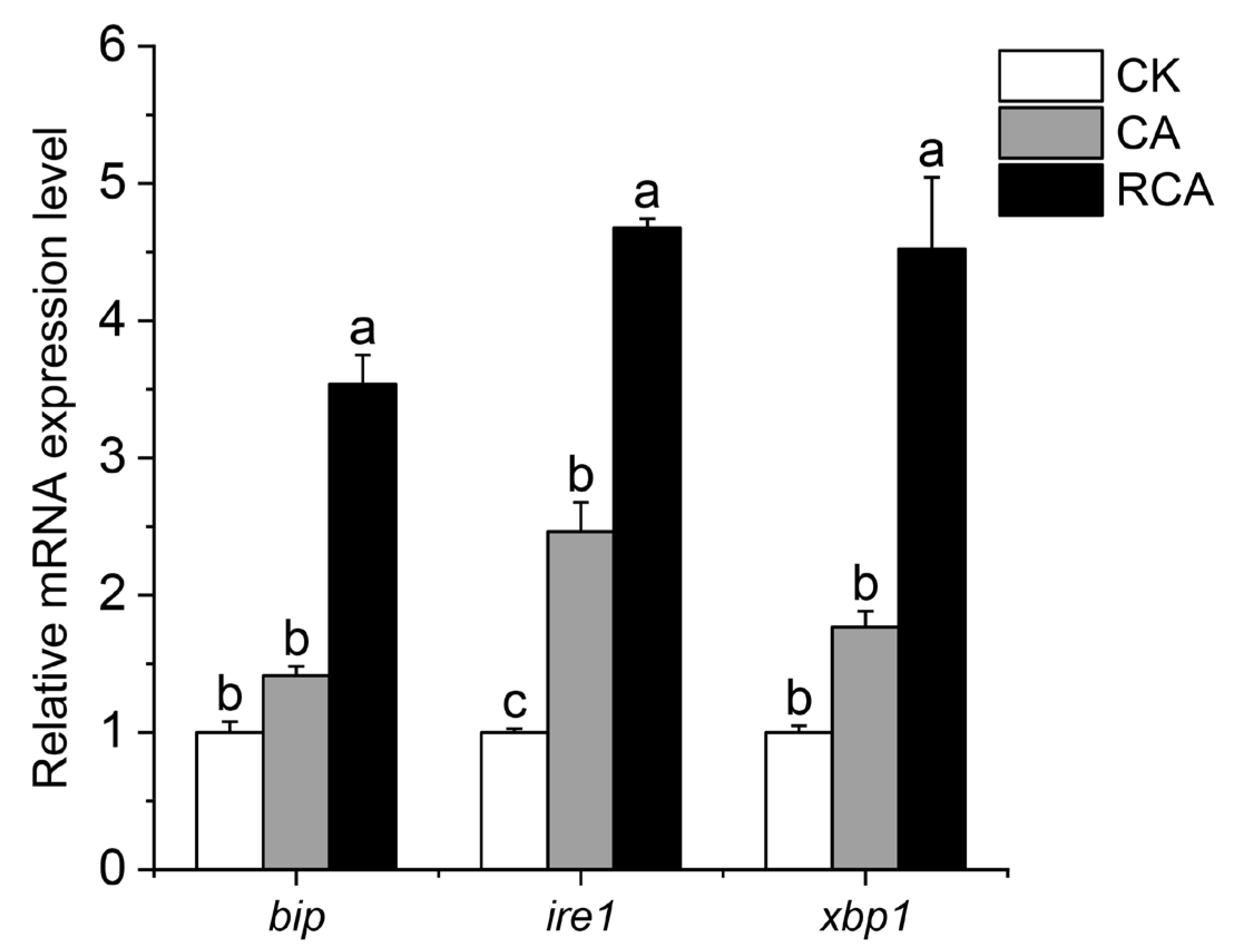 Fishes 09 00463 g003