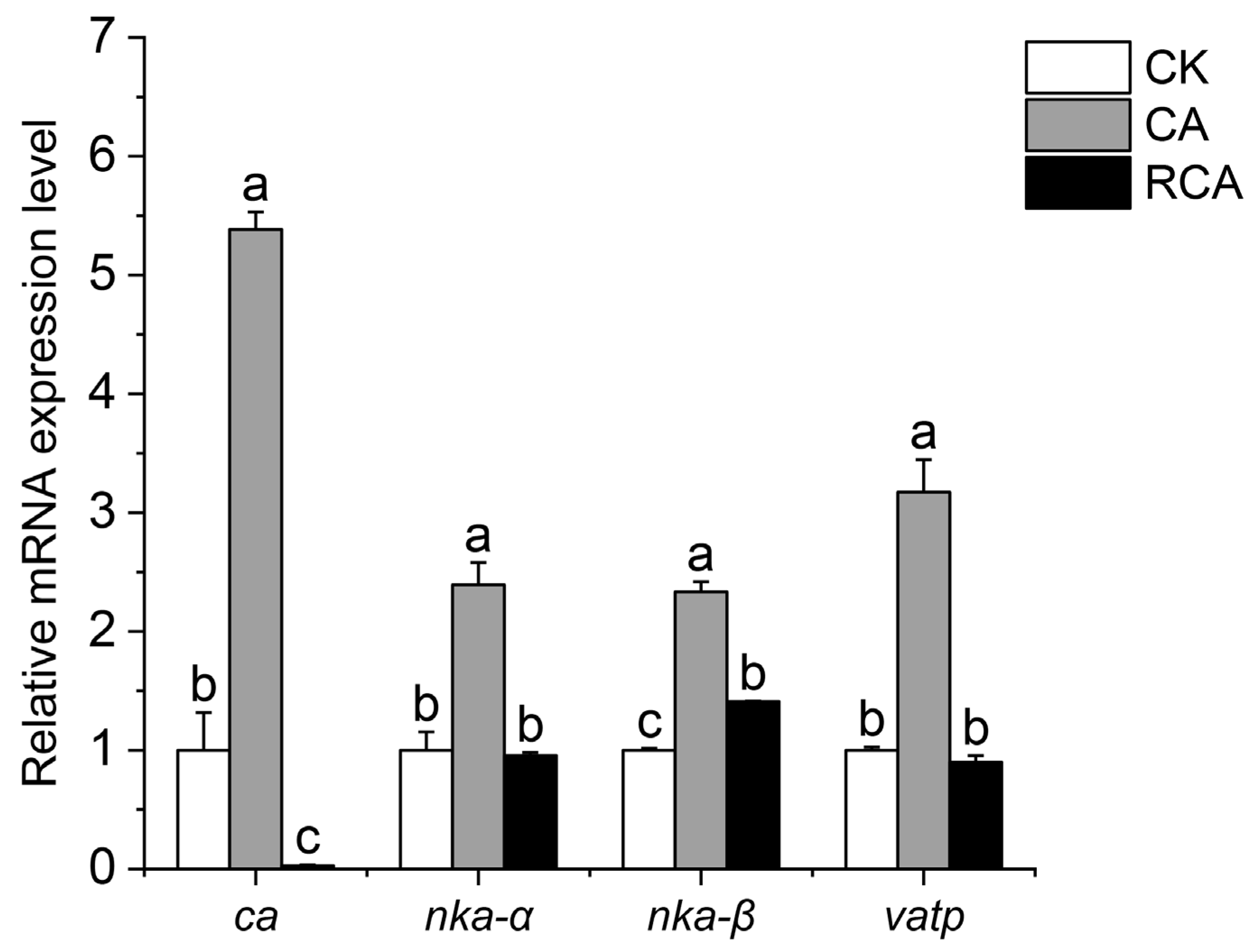 Fishes 09 00463 g007