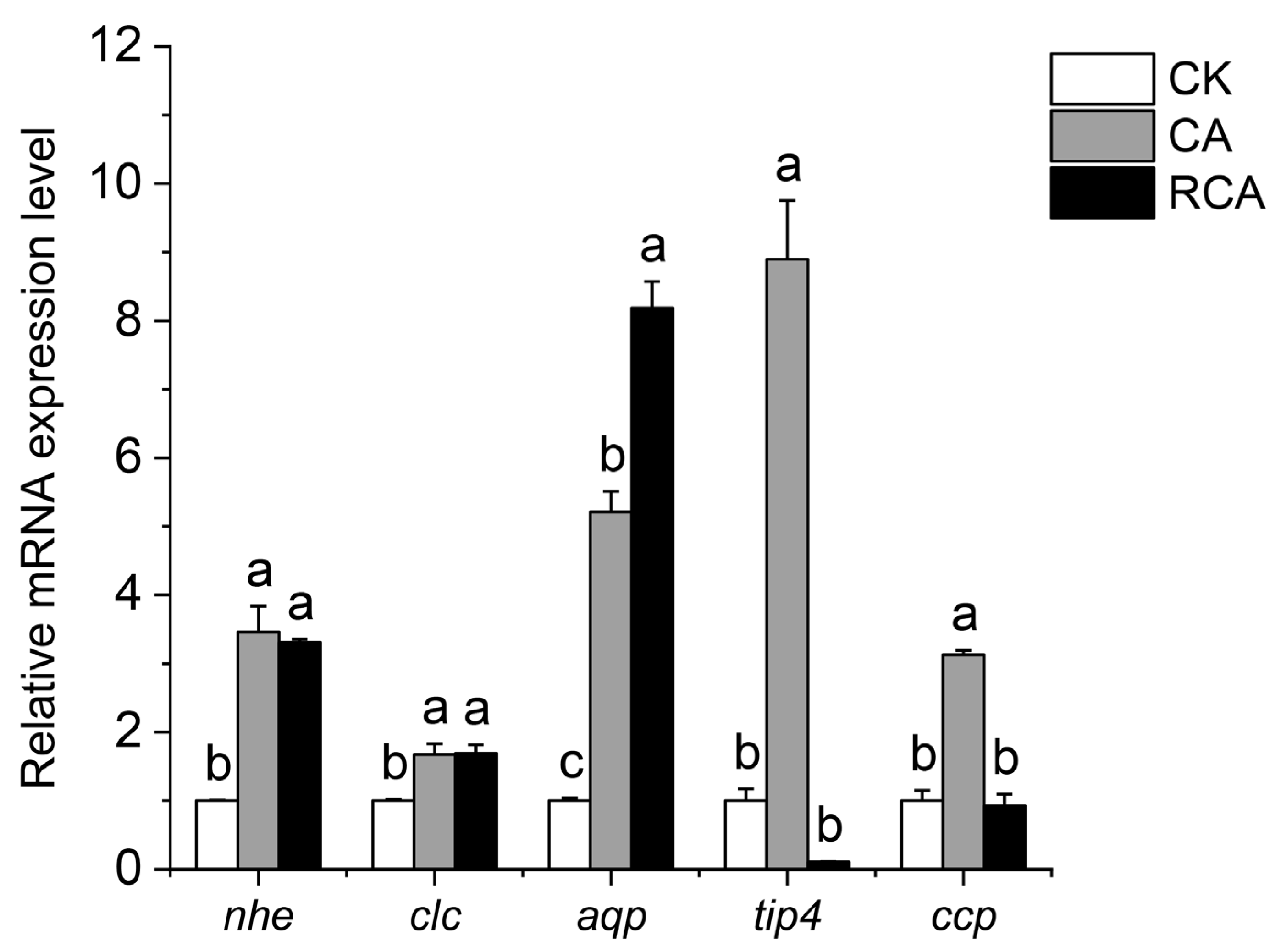 Fishes 09 00463 g008