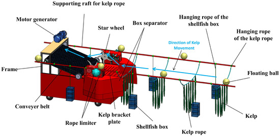 ワインディングセット Research on the Separation Technology of Kelp and Shellfish