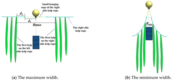 Research on the Separation Technology of Kelp and Shellfish