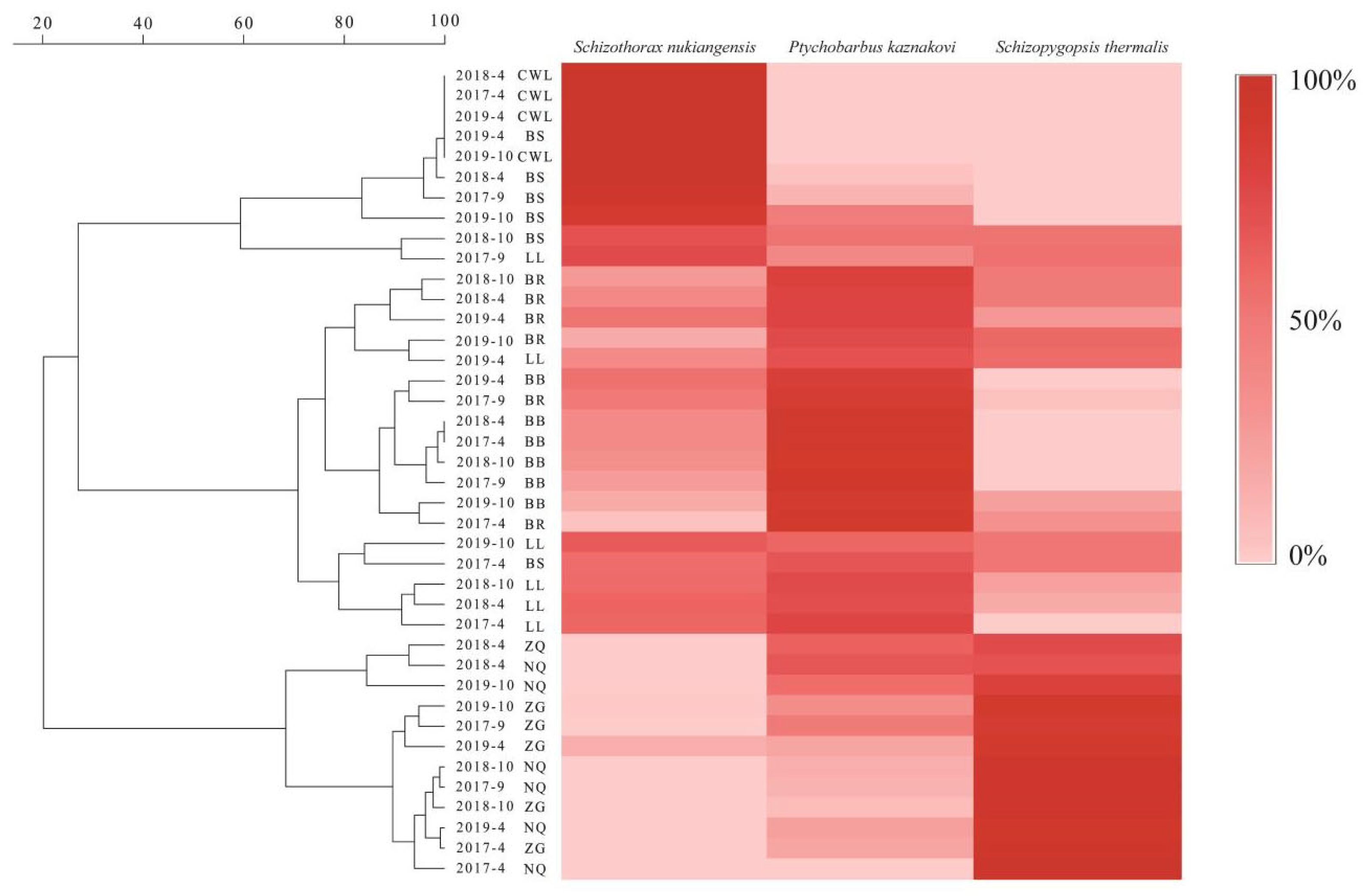 Fishes 09 00465 g005
