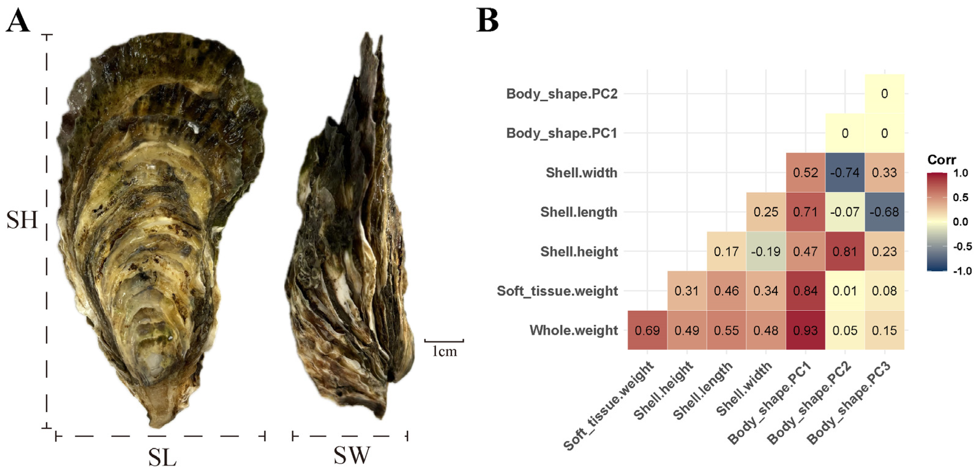 Fishes 09 00471 g001