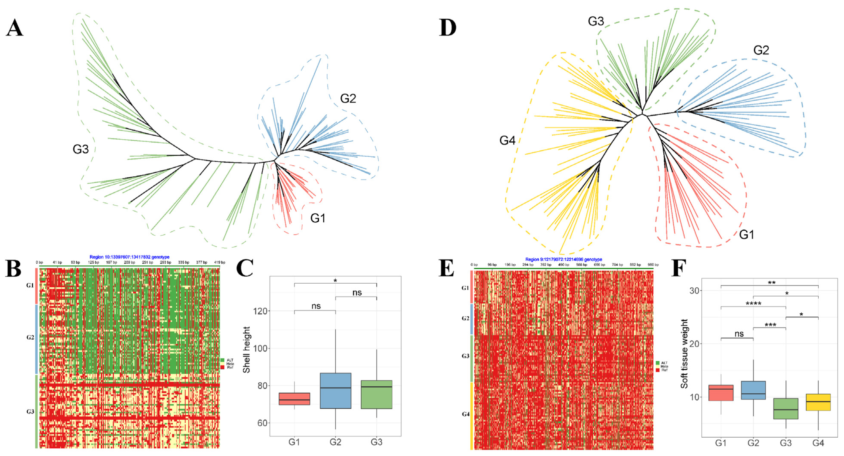 Fishes 09 00471 g006