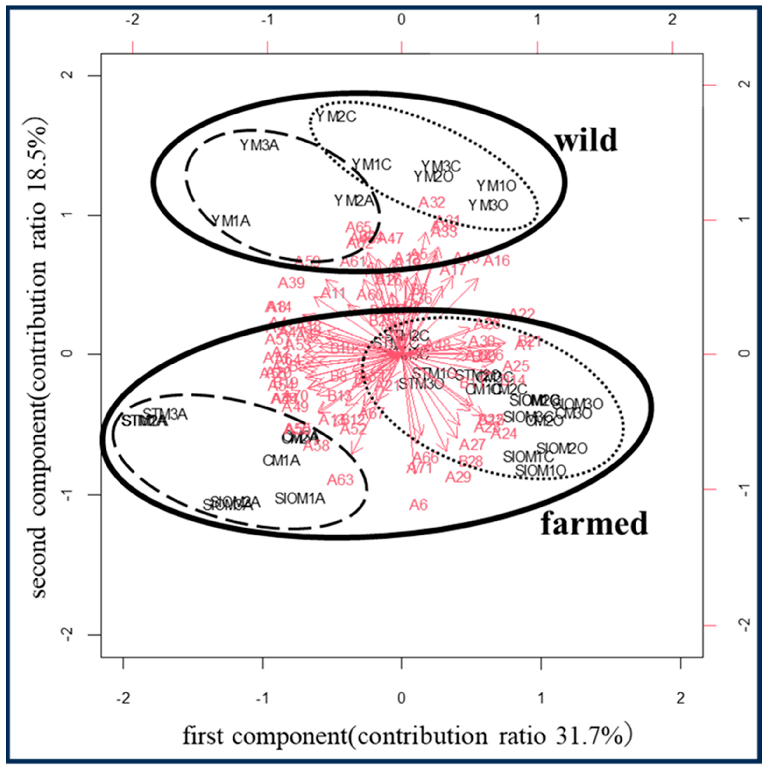 Fishes 09 00473 g001