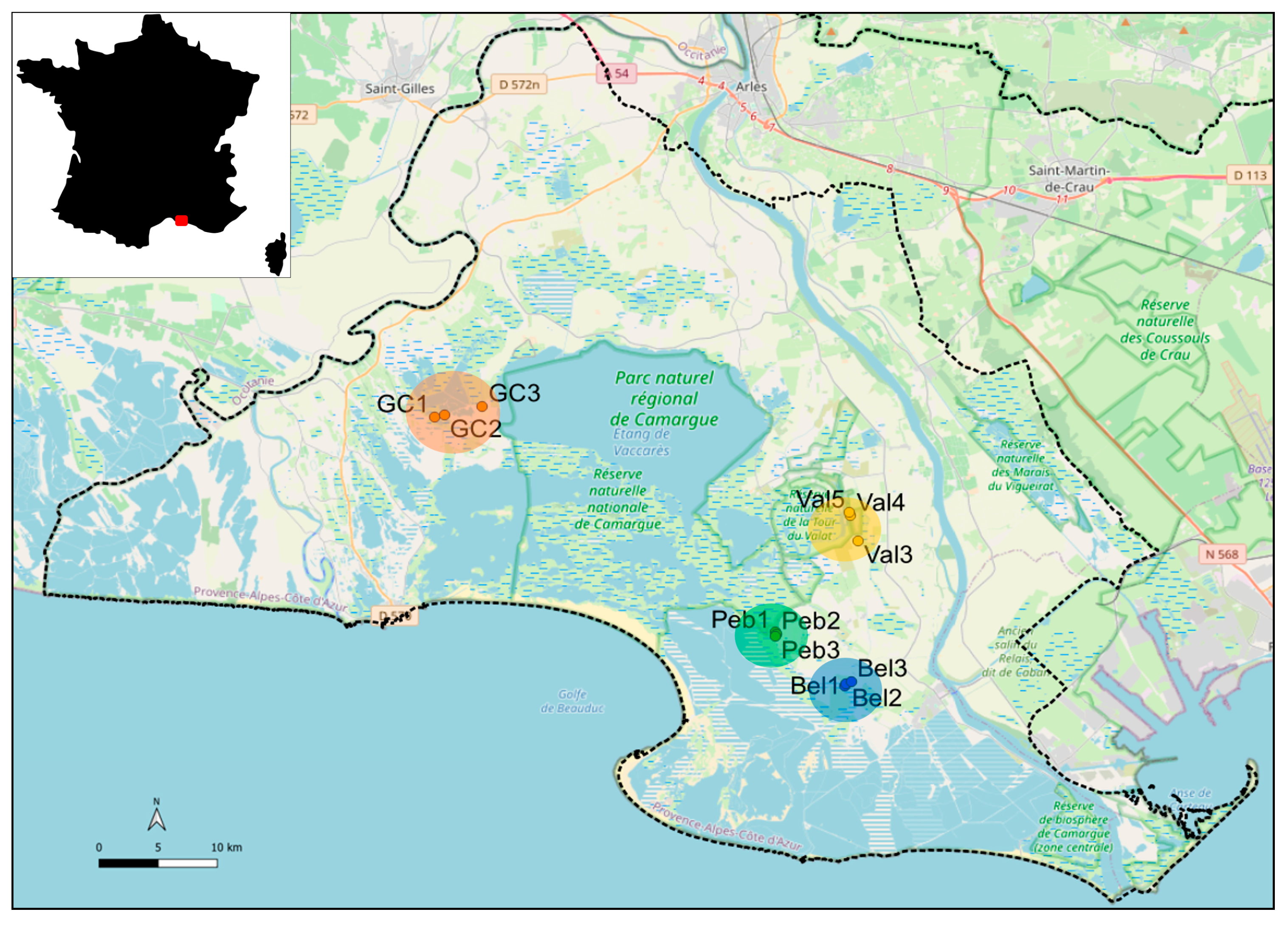 Fishes 09 00477 g001