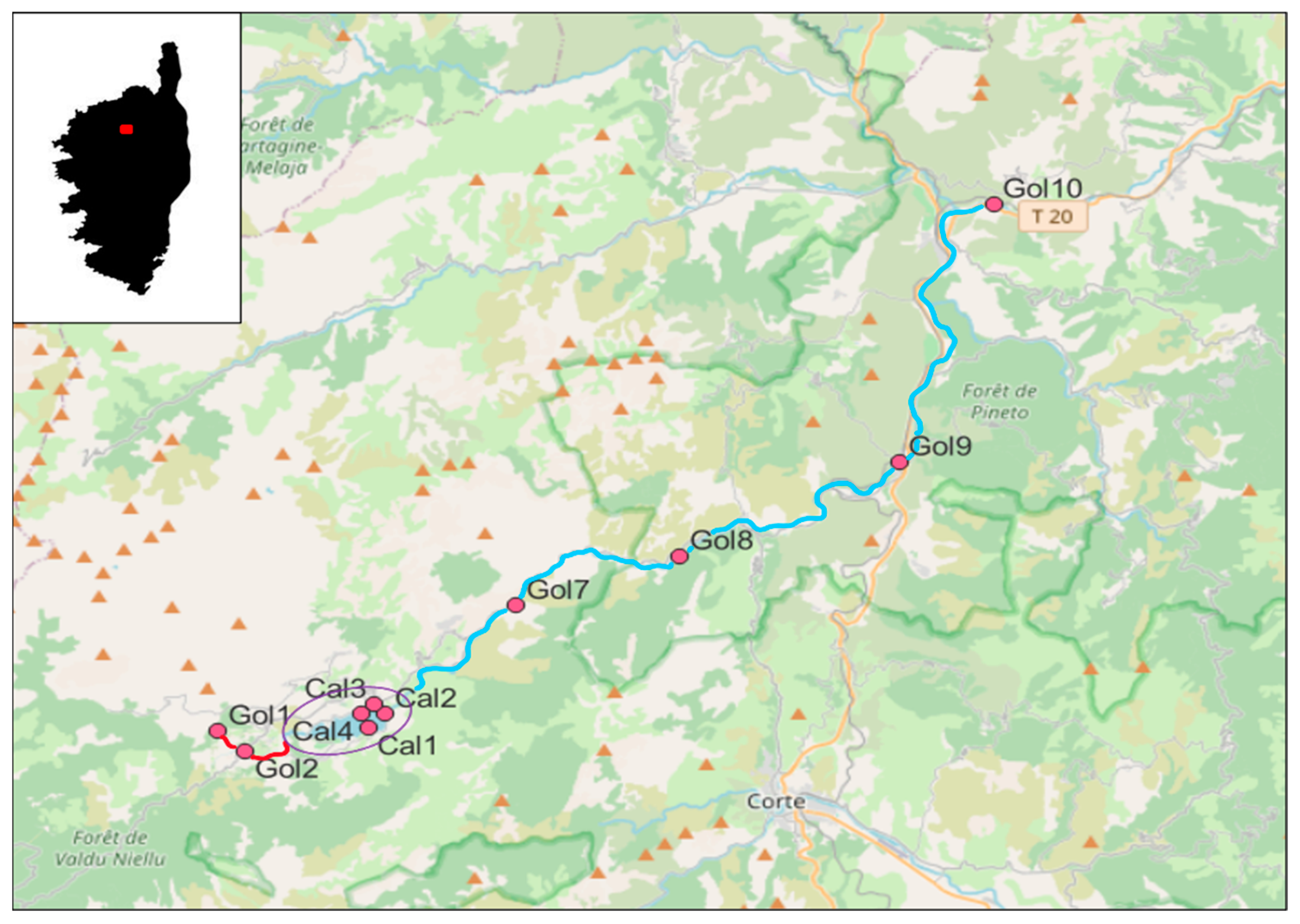 Fishes 09 00477 g002