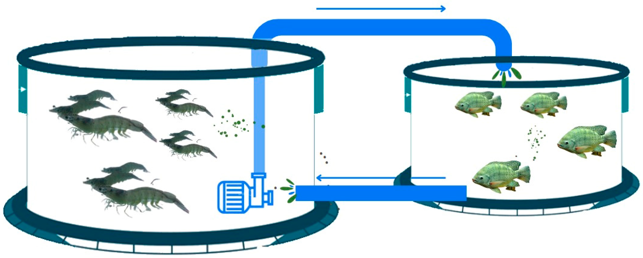 Fishes 09 00478 g001