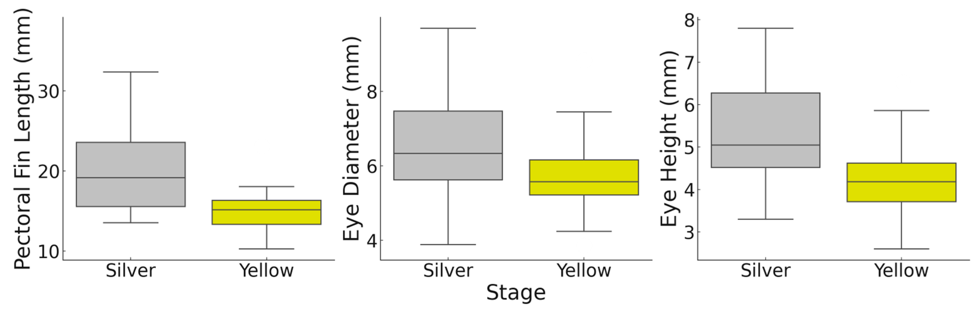 Fishes 09 00479 g006