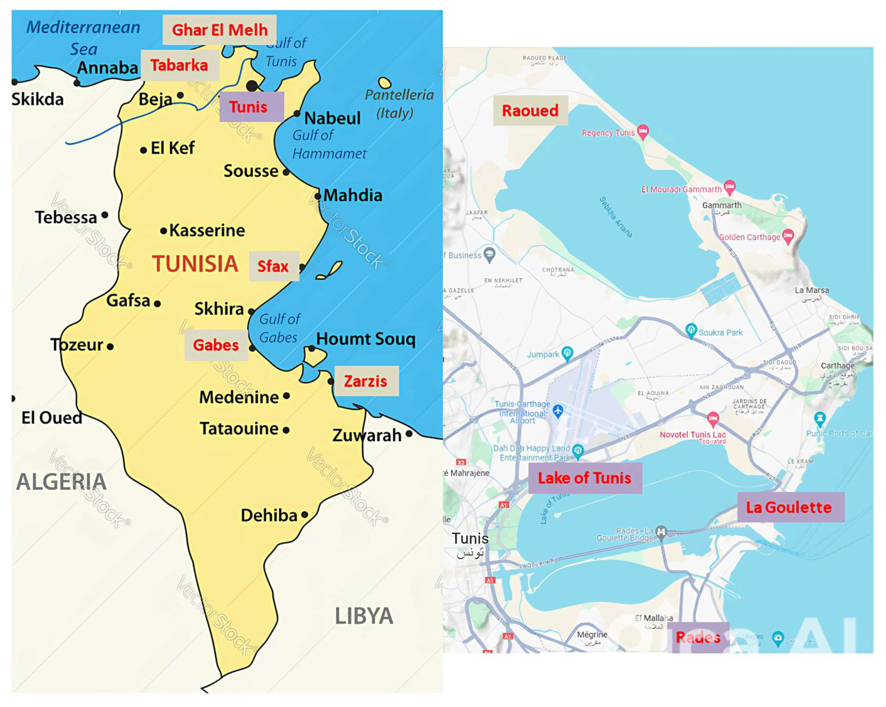 Fishes 09 00485 g001