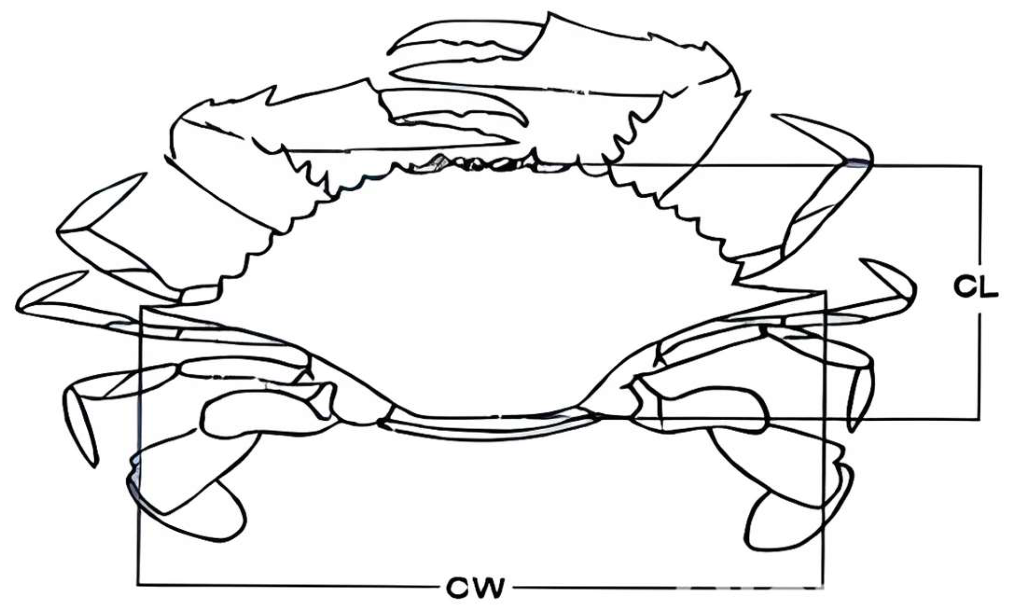 Fishes 09 00485 g002