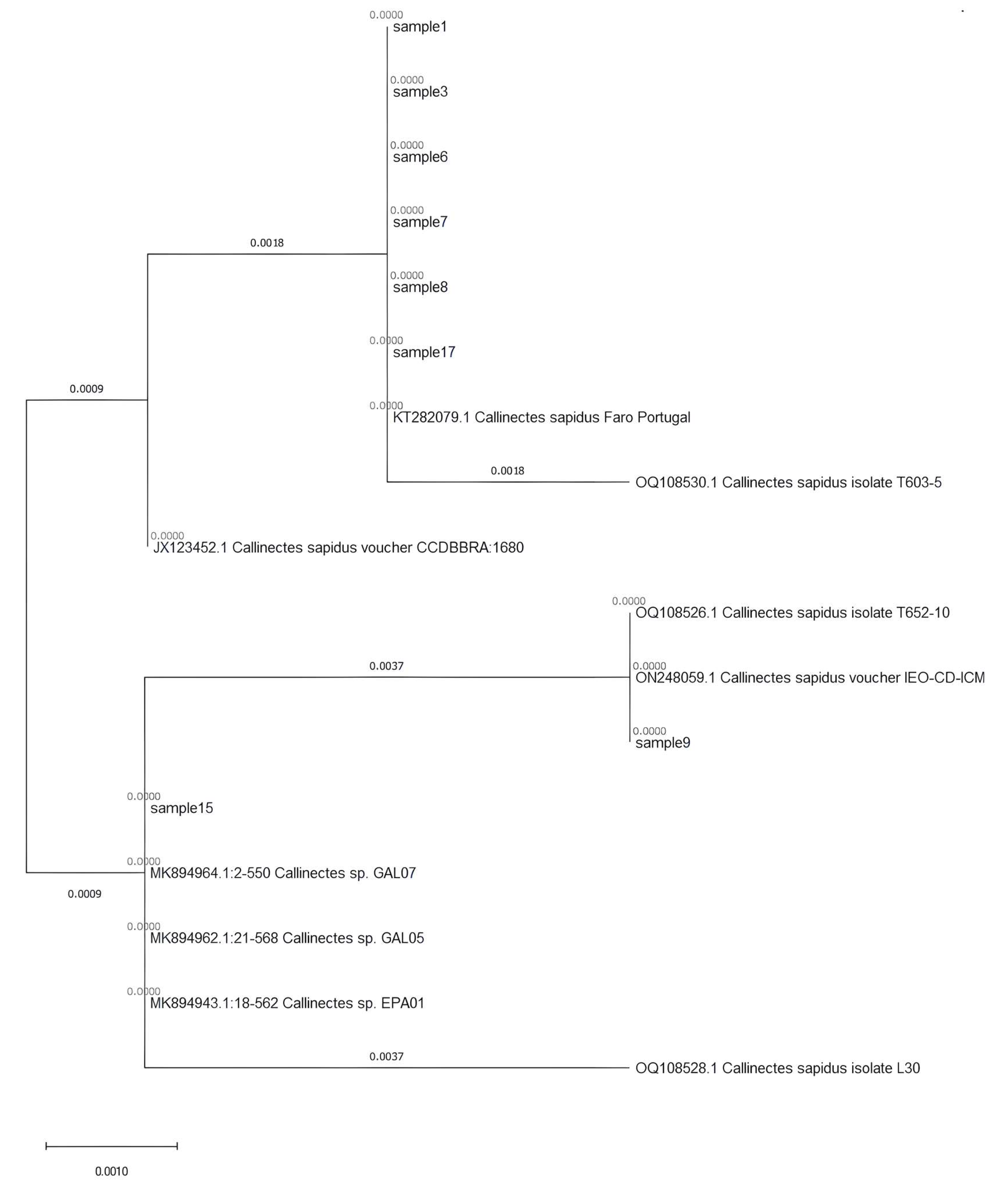 Fishes 09 00485 g004