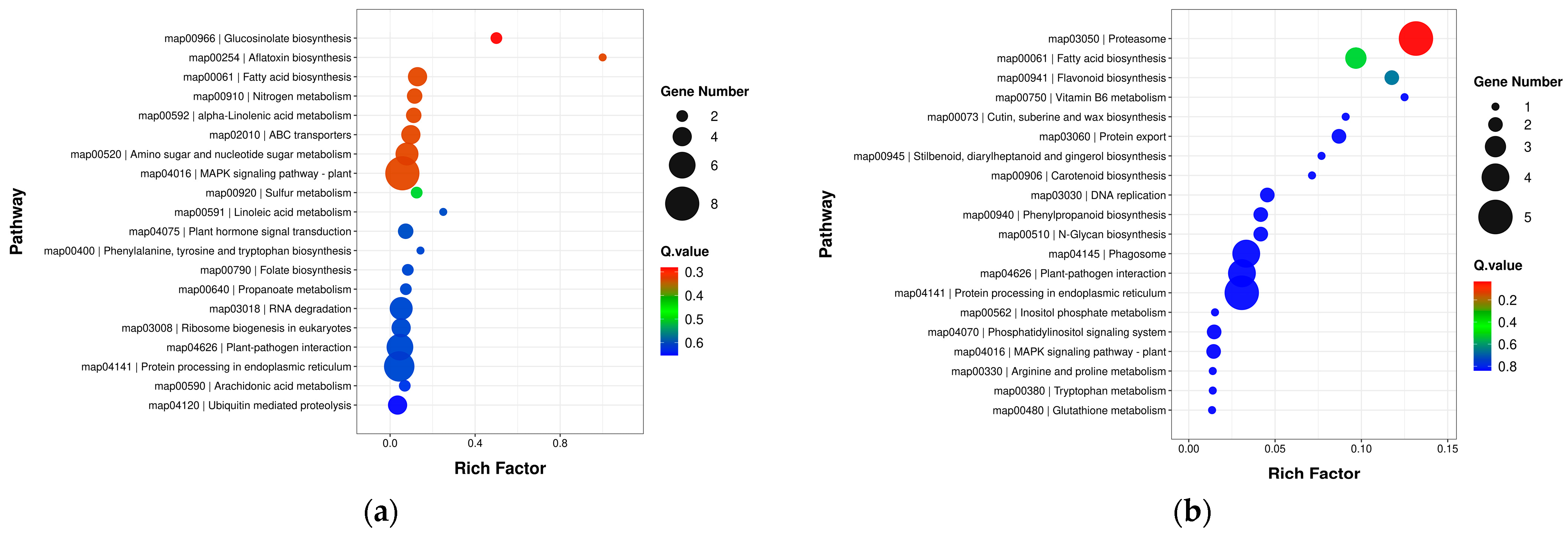 Fishes 09 00486 g005