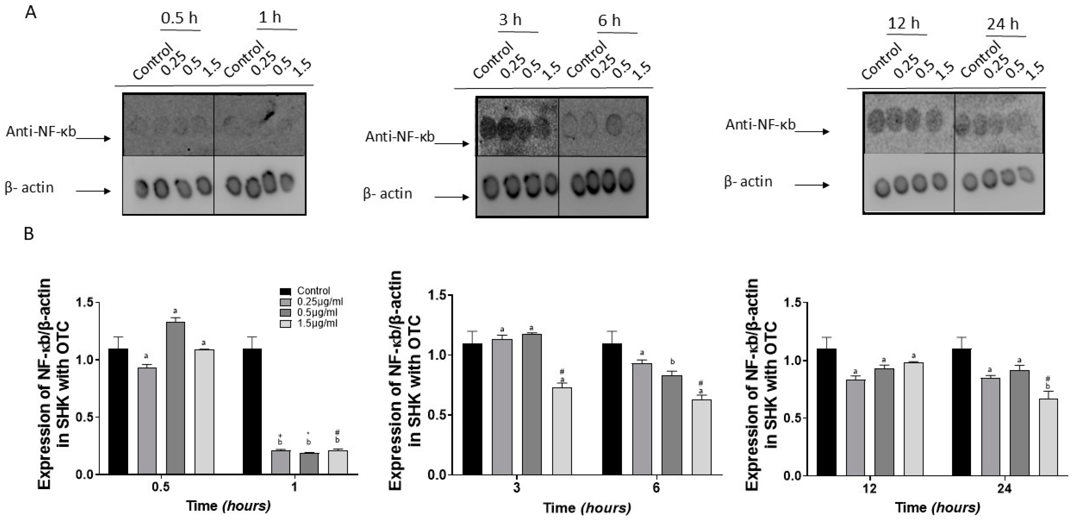 Fishes 09 00493 g002