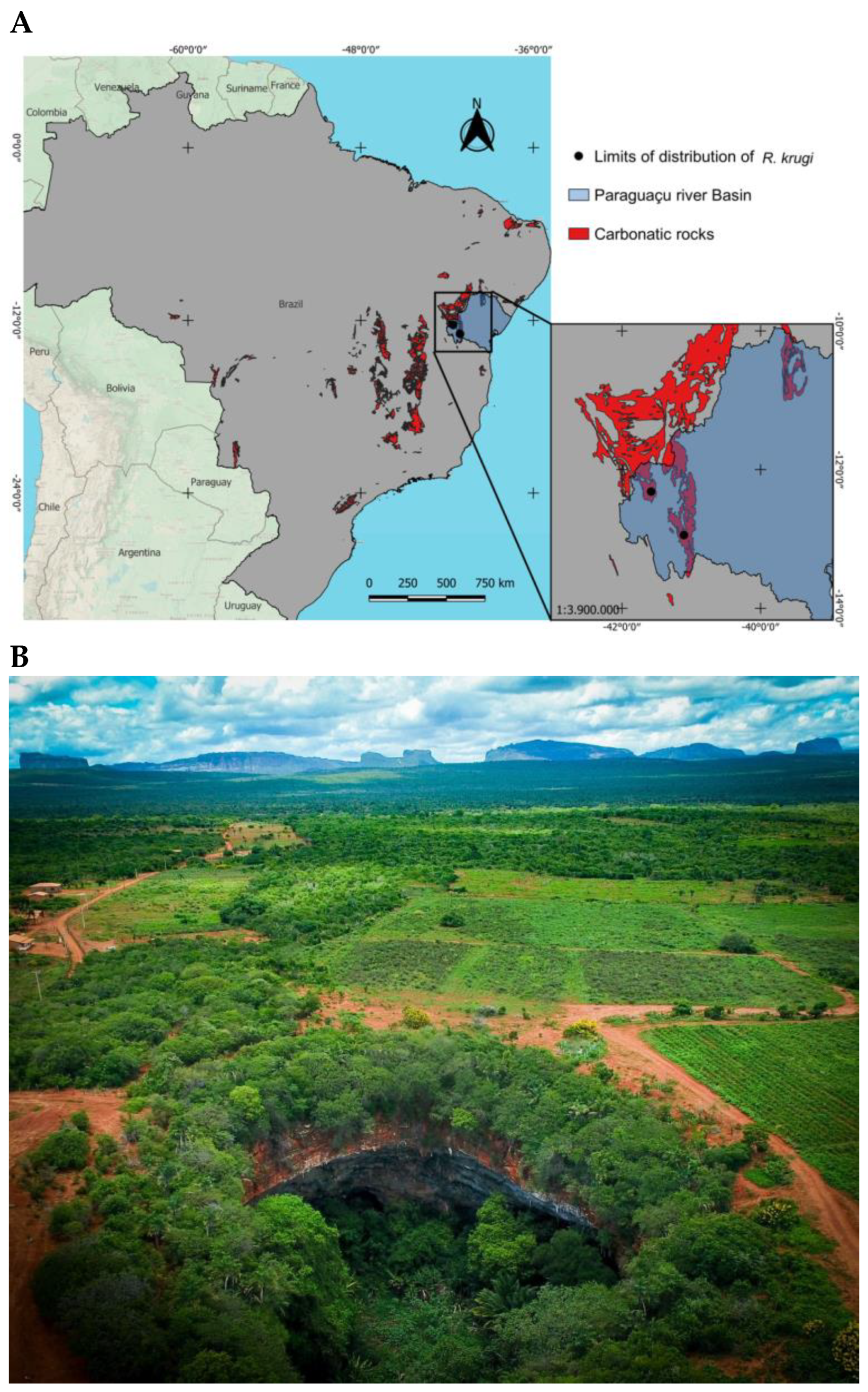 Fishes 09 00494 g001